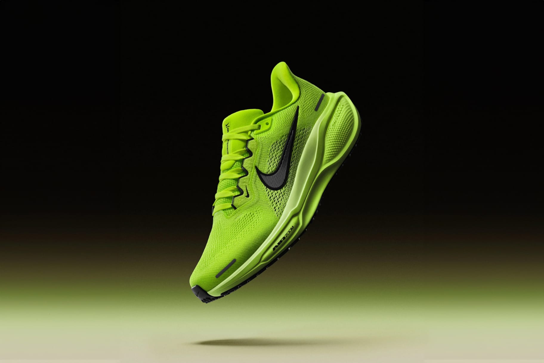 nike air pegasus 2008