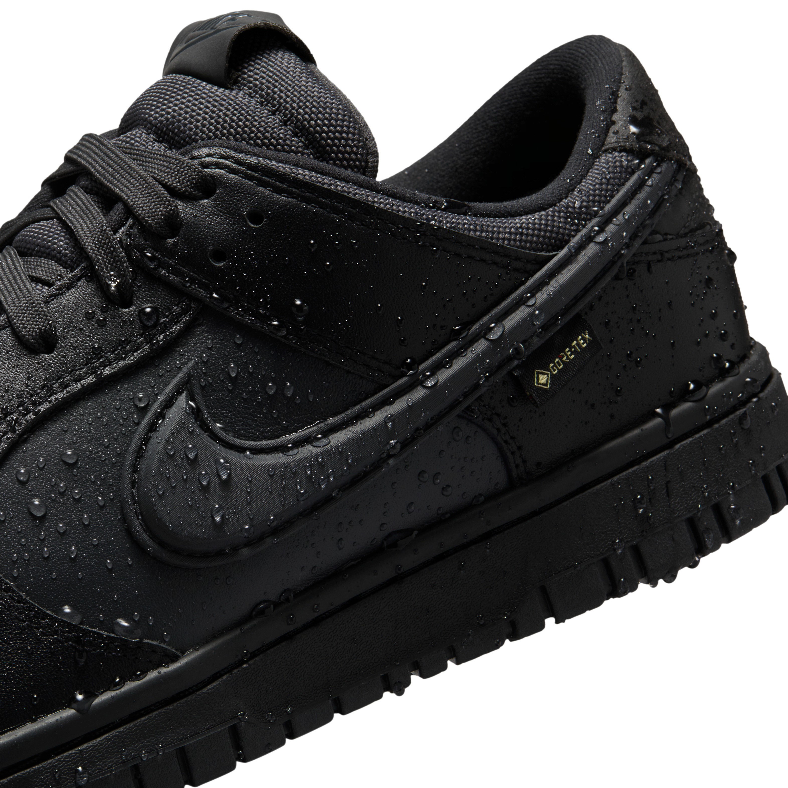 Nike Dunk Low GORE-TEX Men's Shoes