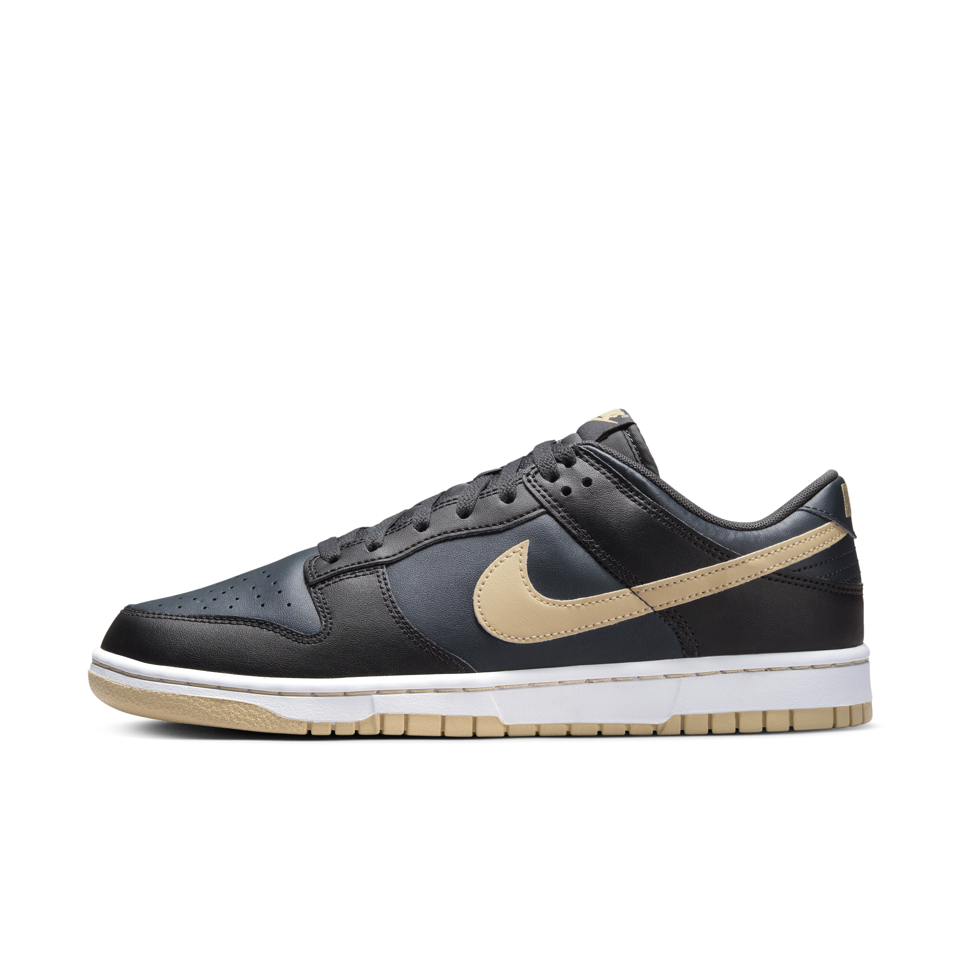 Nike Dunk Low Retro Men's Shoes