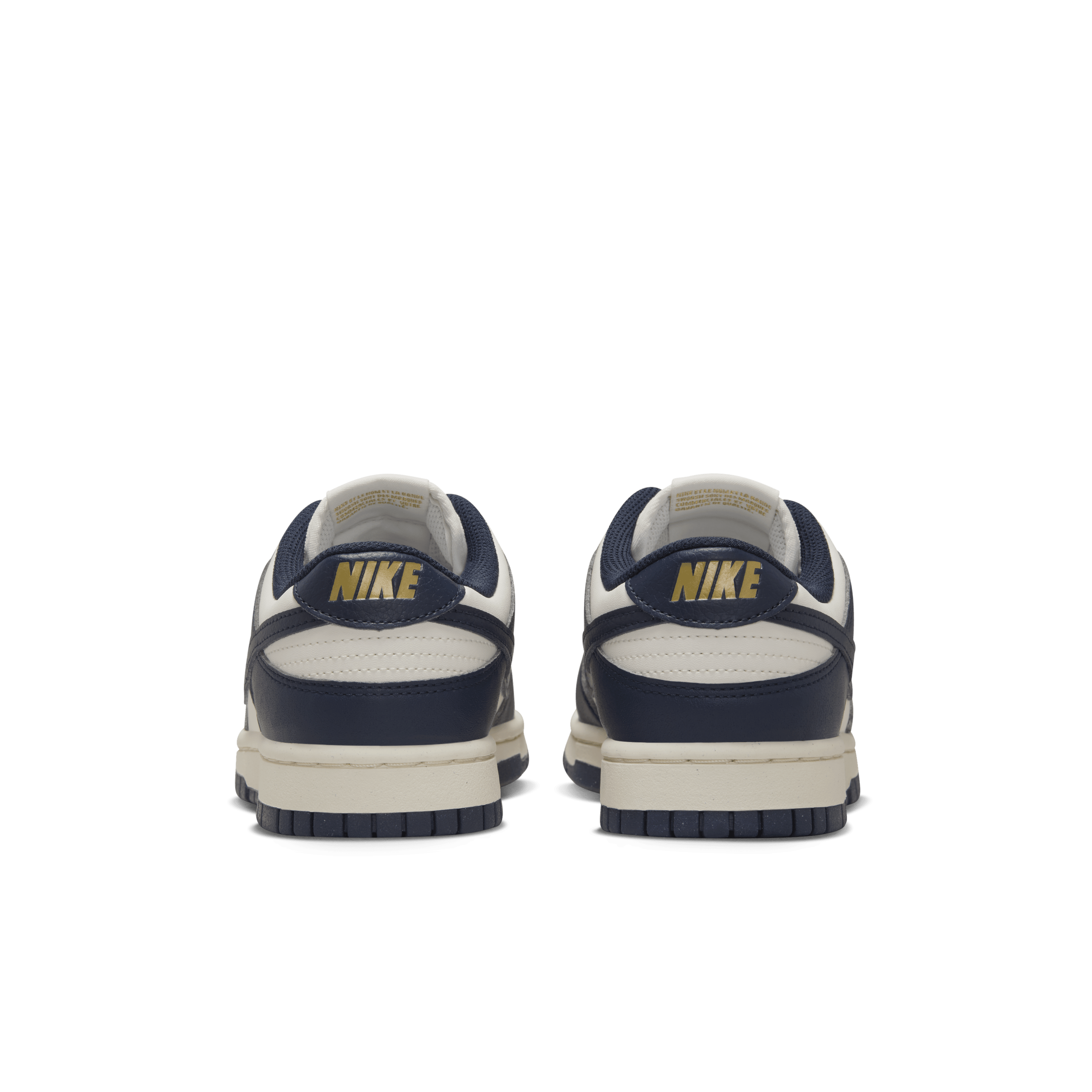 Nike Dunk Low Next Nature Women's Shoes