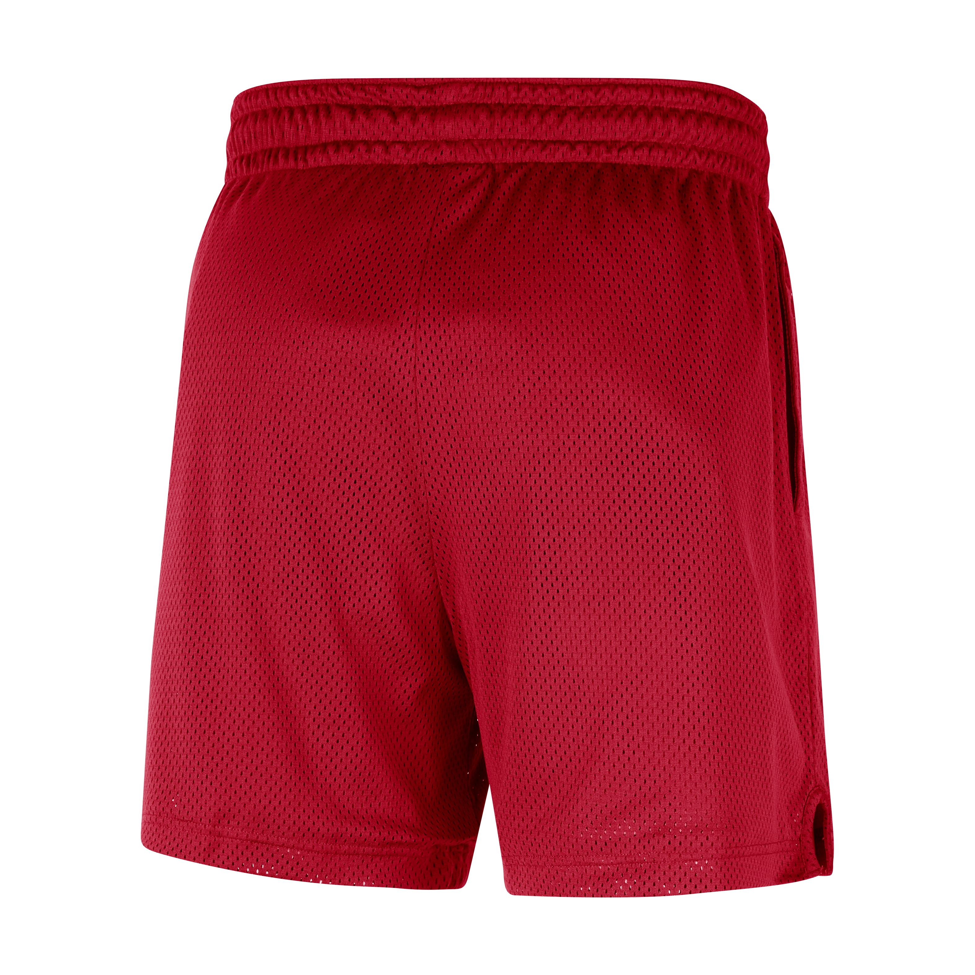 Portland Trail Blazers Men's Nike NBA Mesh Shorts