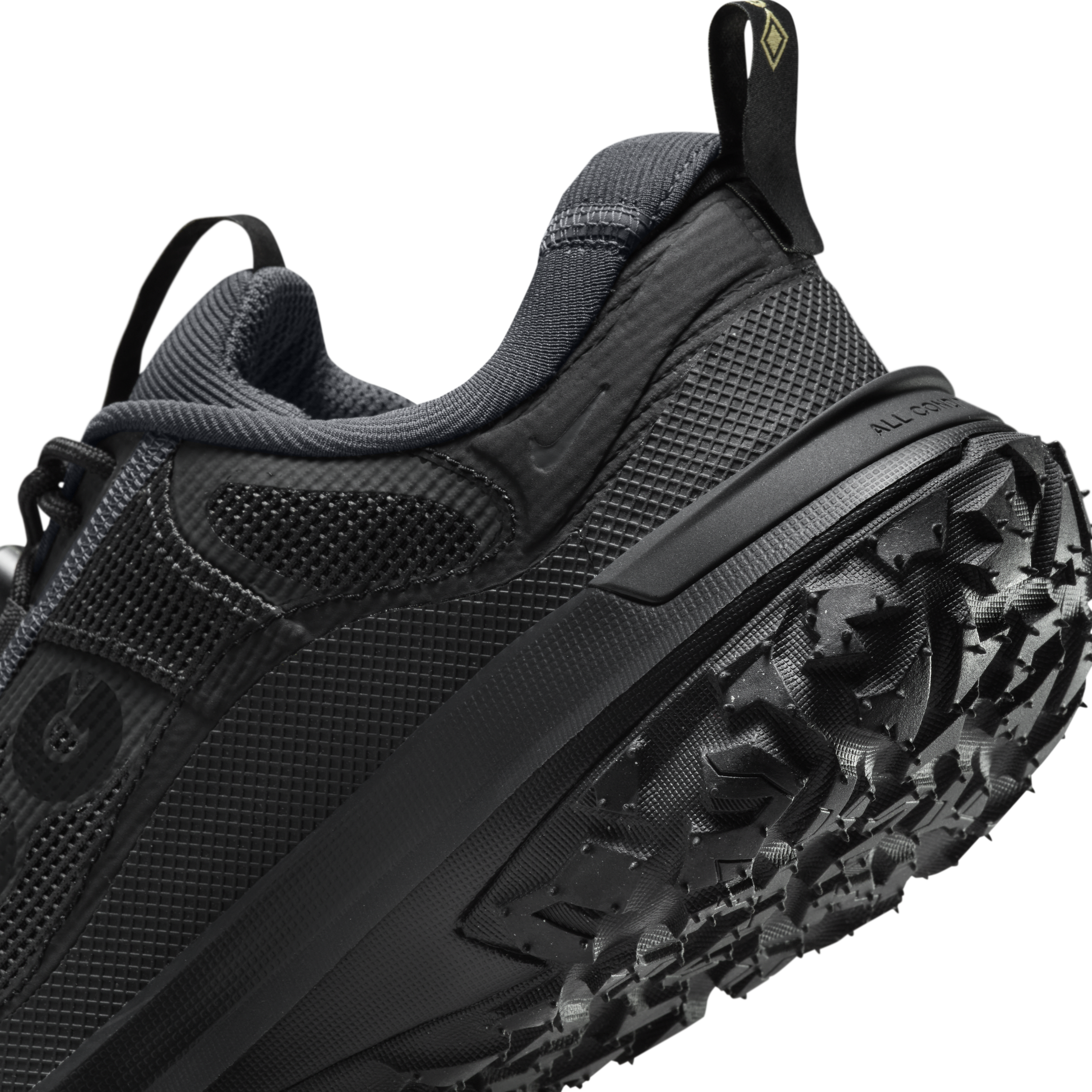 Nike ACG Mountain Fly 2 Low GORE-TEX Men's Shoes