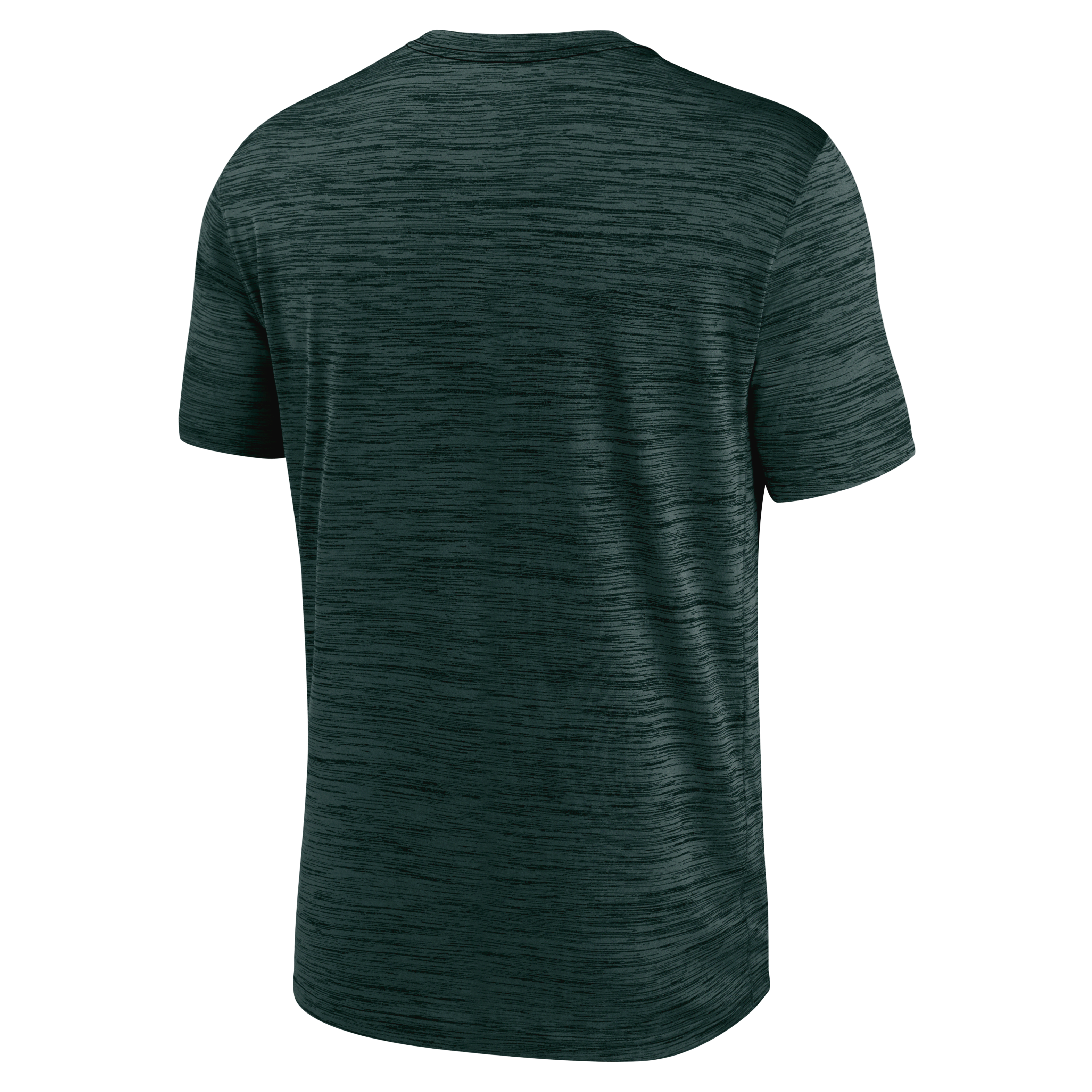 Michigan State Spartans Velocity Baseball Wordmark Stack Men's Nike Dri-FIT College T-Shirt