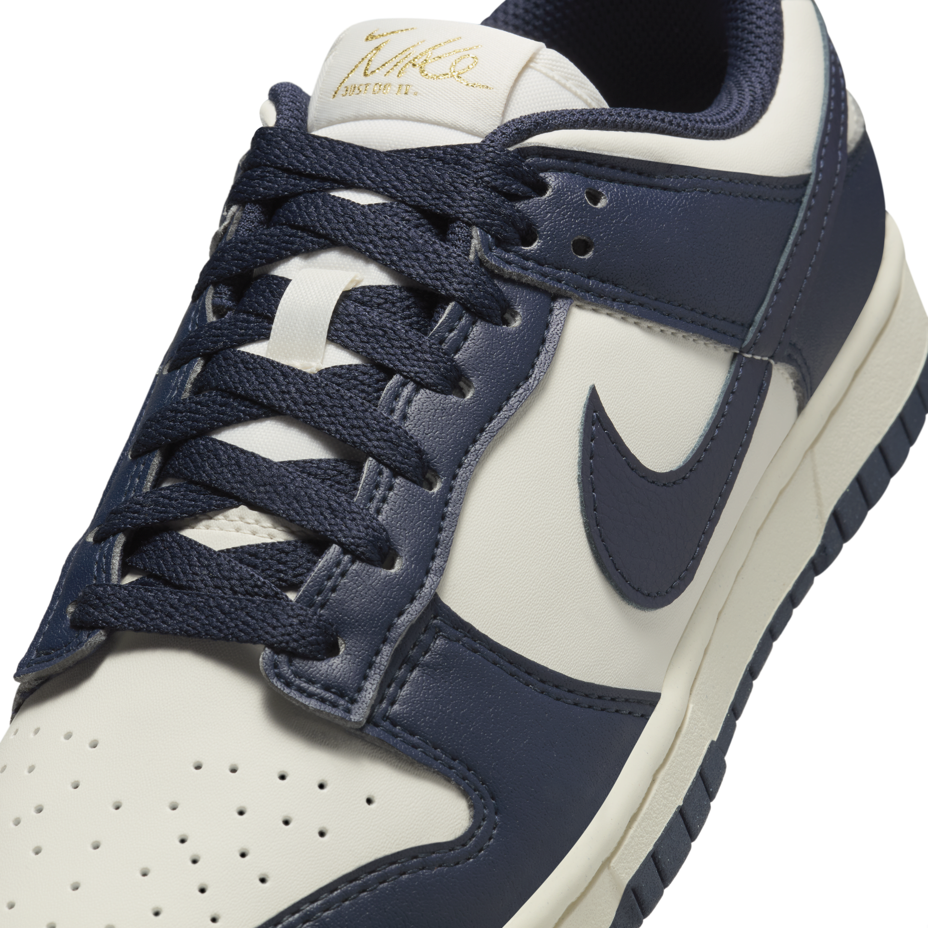 Nike Dunk Low Next Nature Women's Shoes