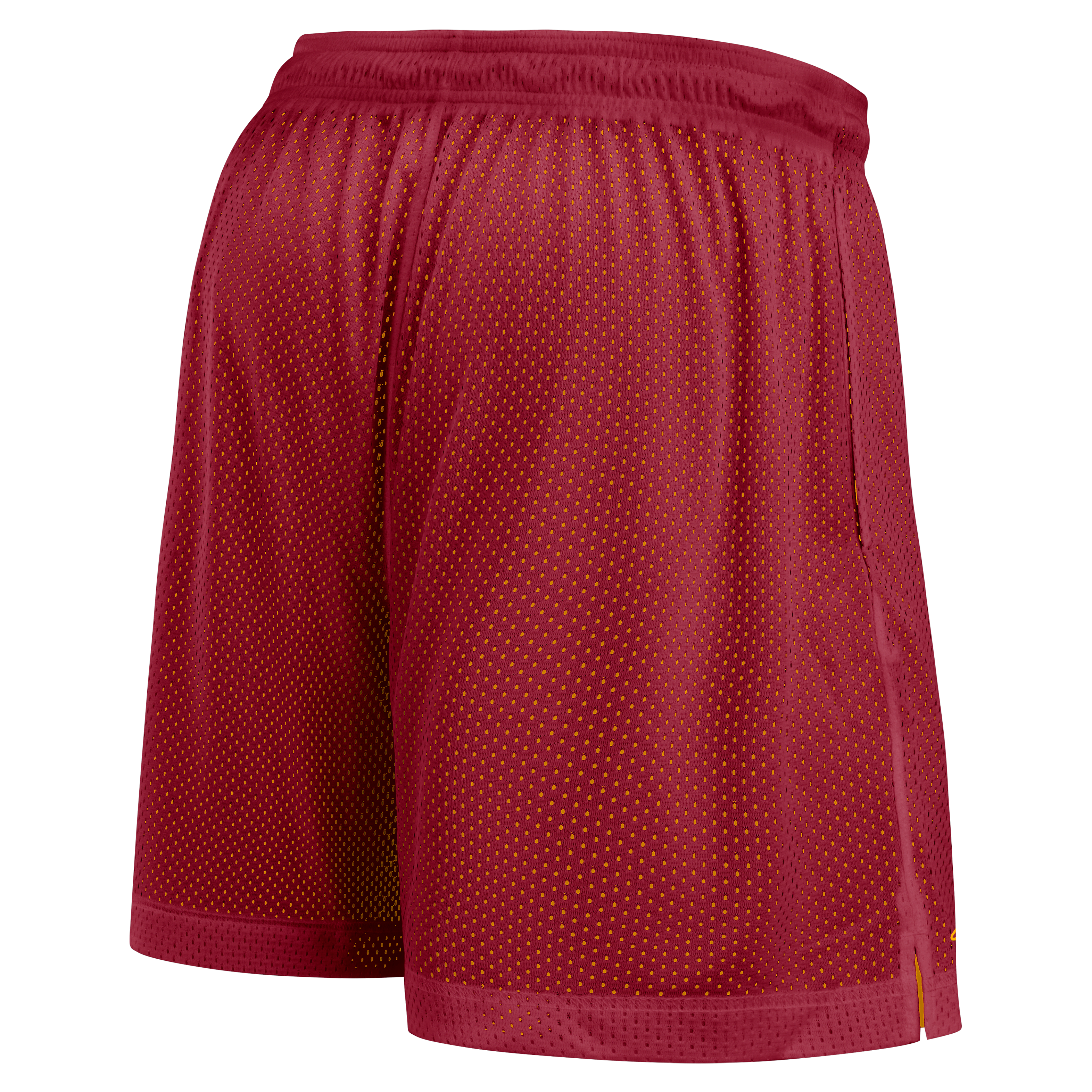 USC Reversible Men's Nike Dri-FIT College Shorts