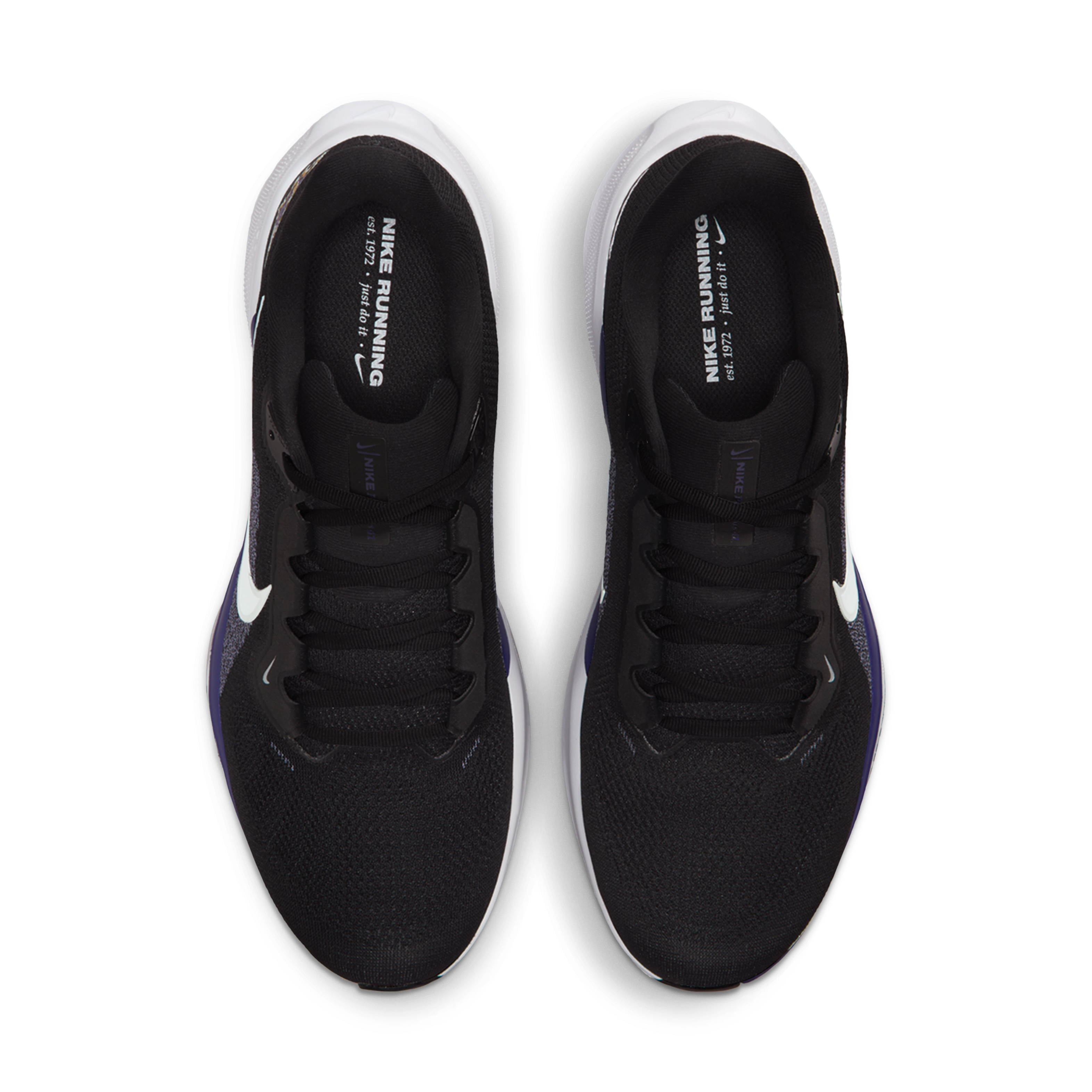 Baltimore Ravens Pegasus 41 Men's Nike NFL Road Running Shoes