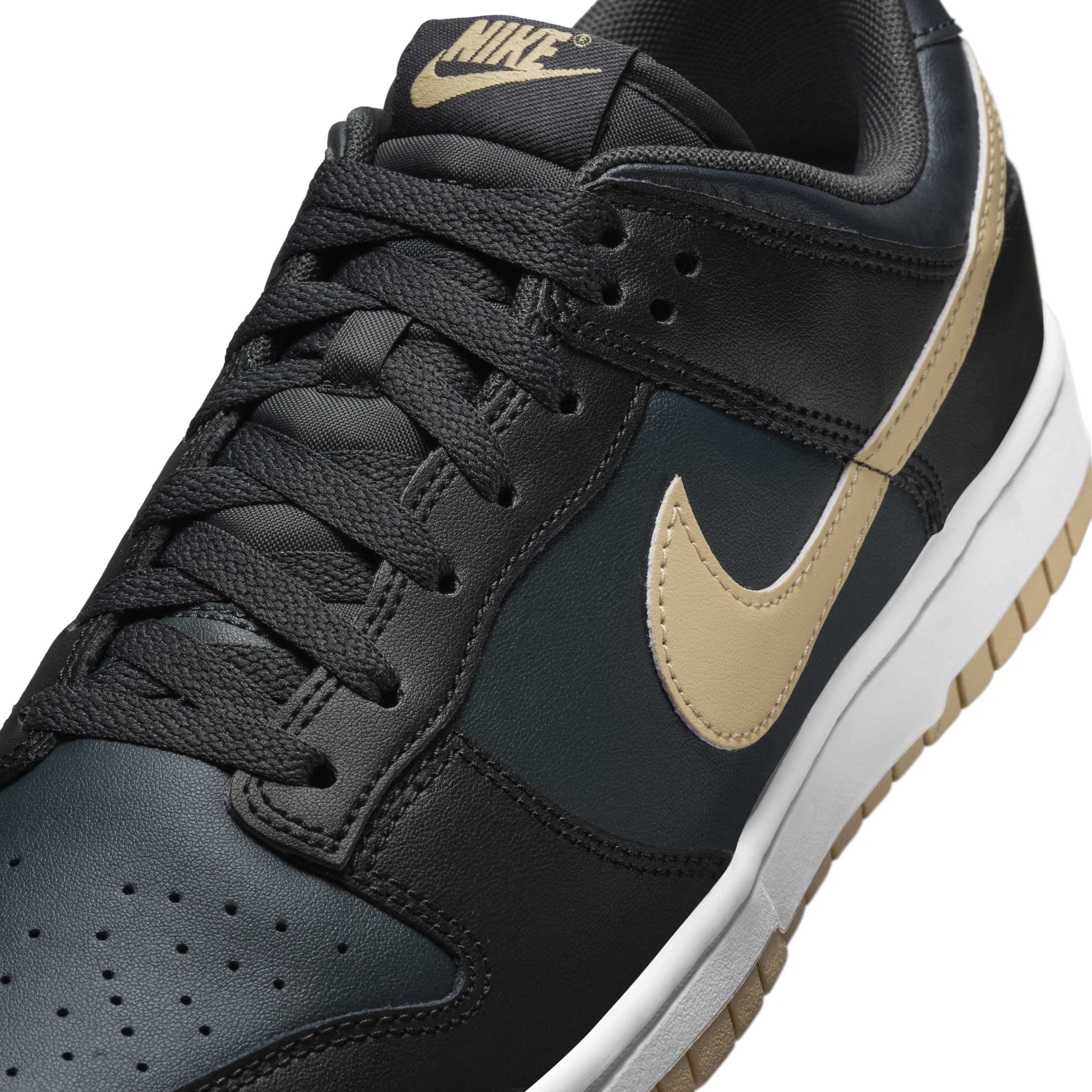 Nike Dunk Low Retro Men's Shoes