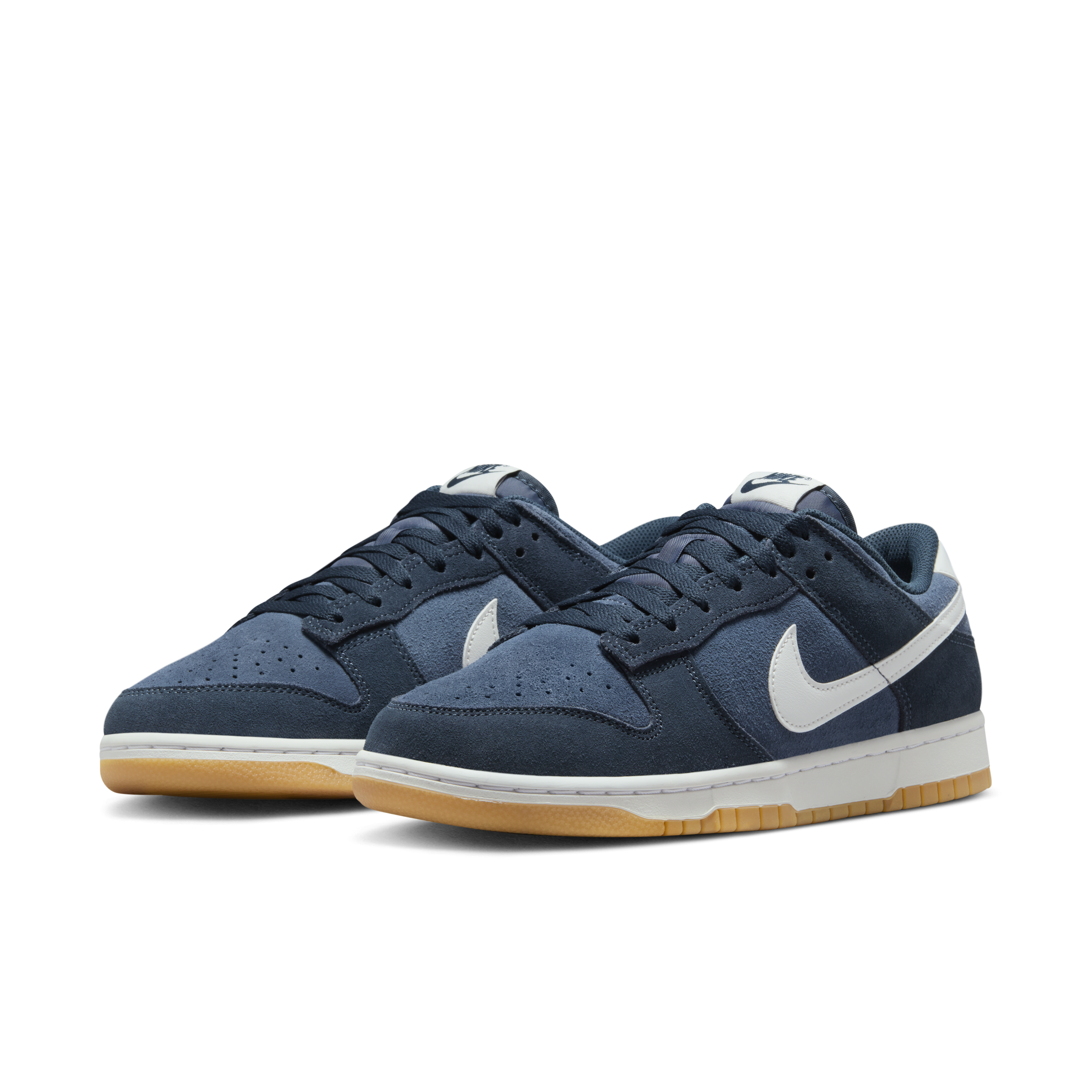 Nike Dunk Low Retro SE Shoes
