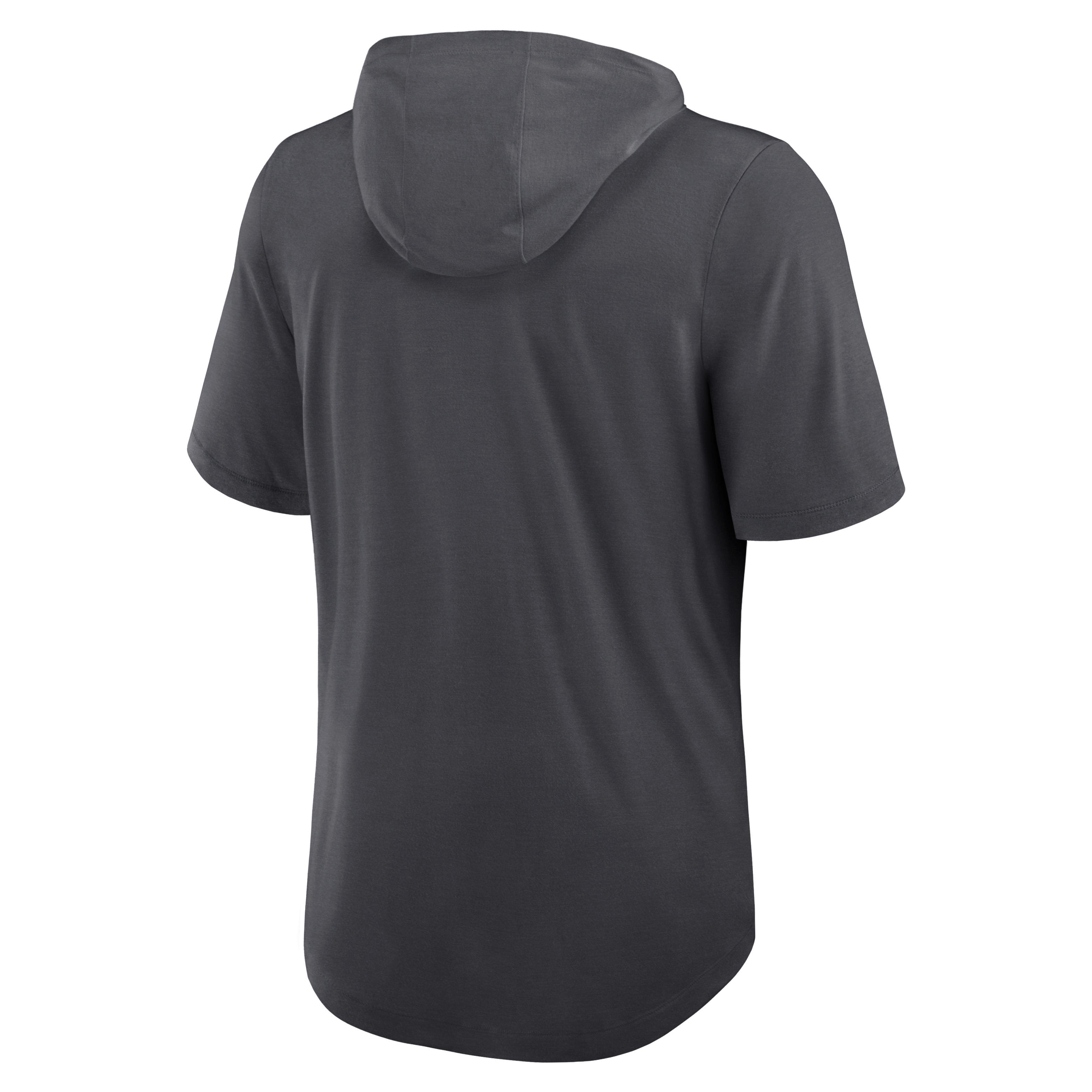 Detroit Lions Men's Nike Dri-FIT NFL Hooded T-Shirt