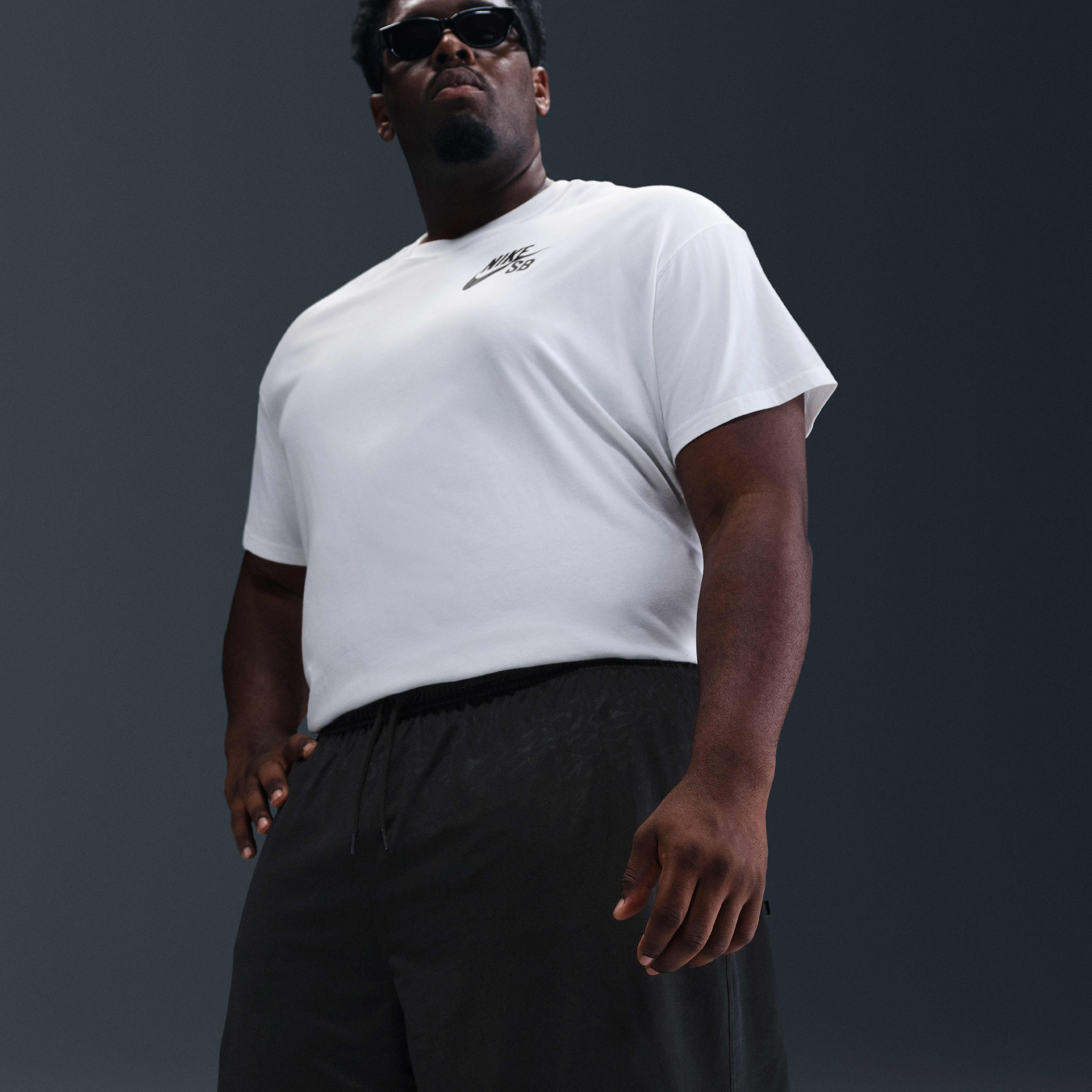 Nike SB Dri-FIT Skate Shorts