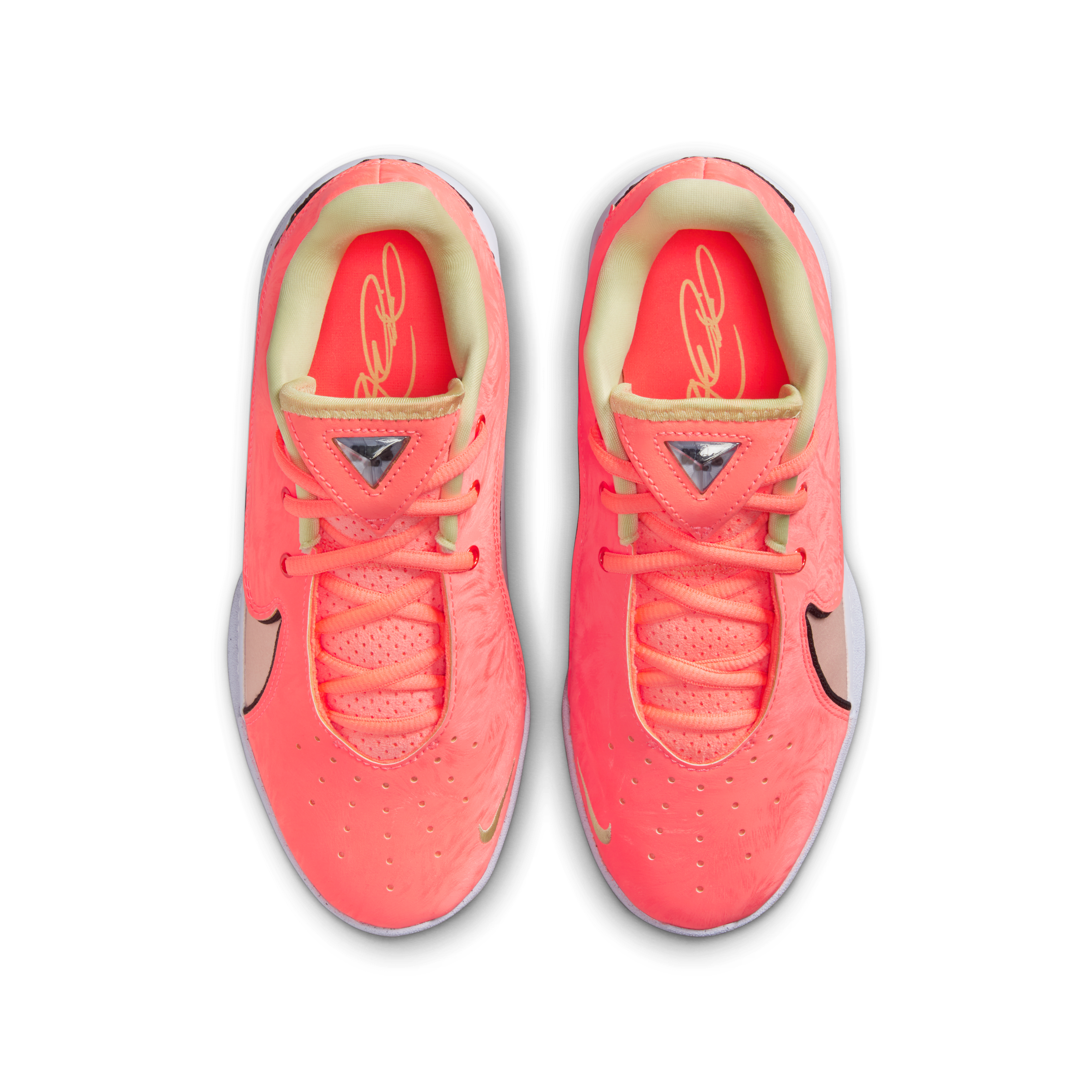LeBron XXII SE Big Kids' Basketball Shoes