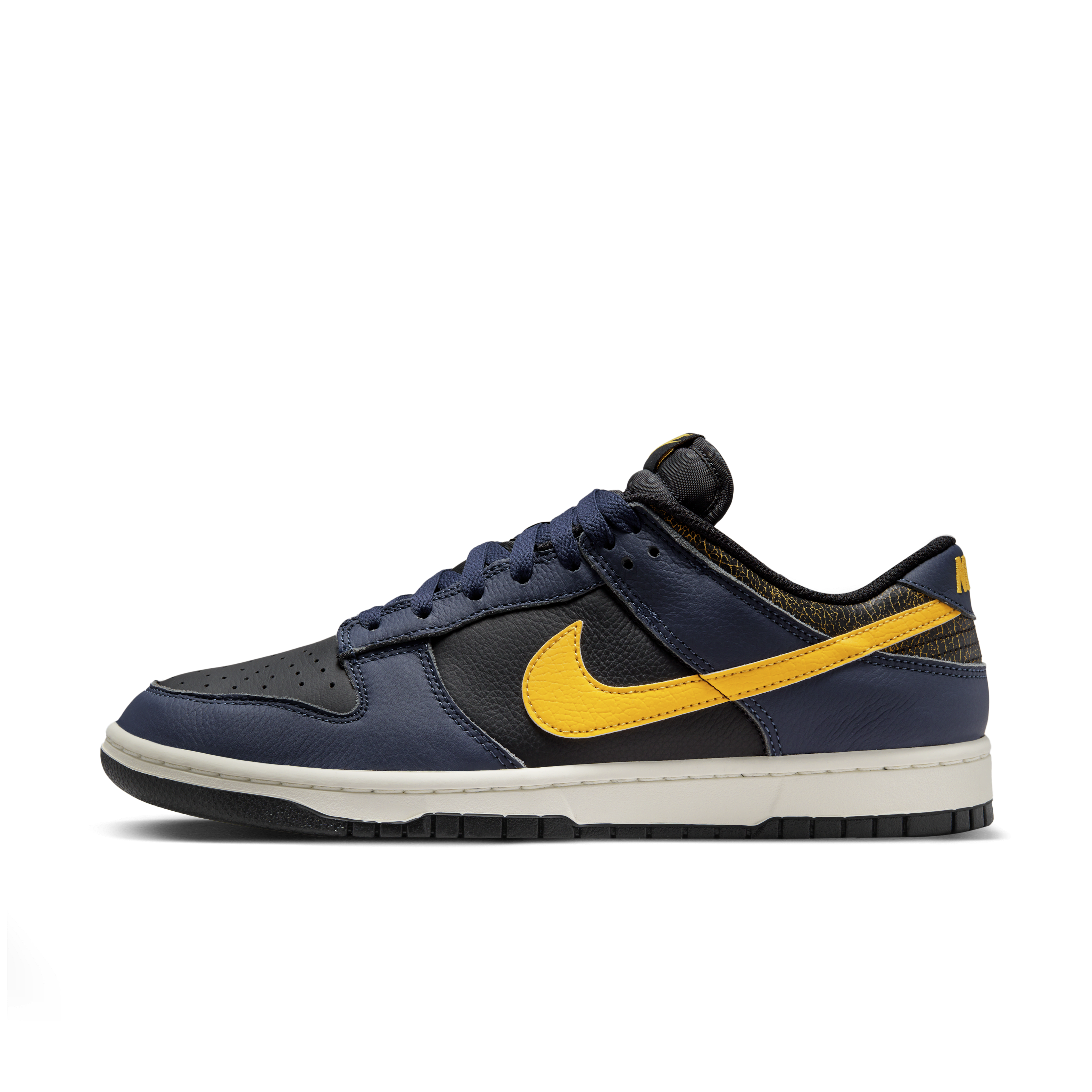 Nike Dunk Low Retro Men's Shoes