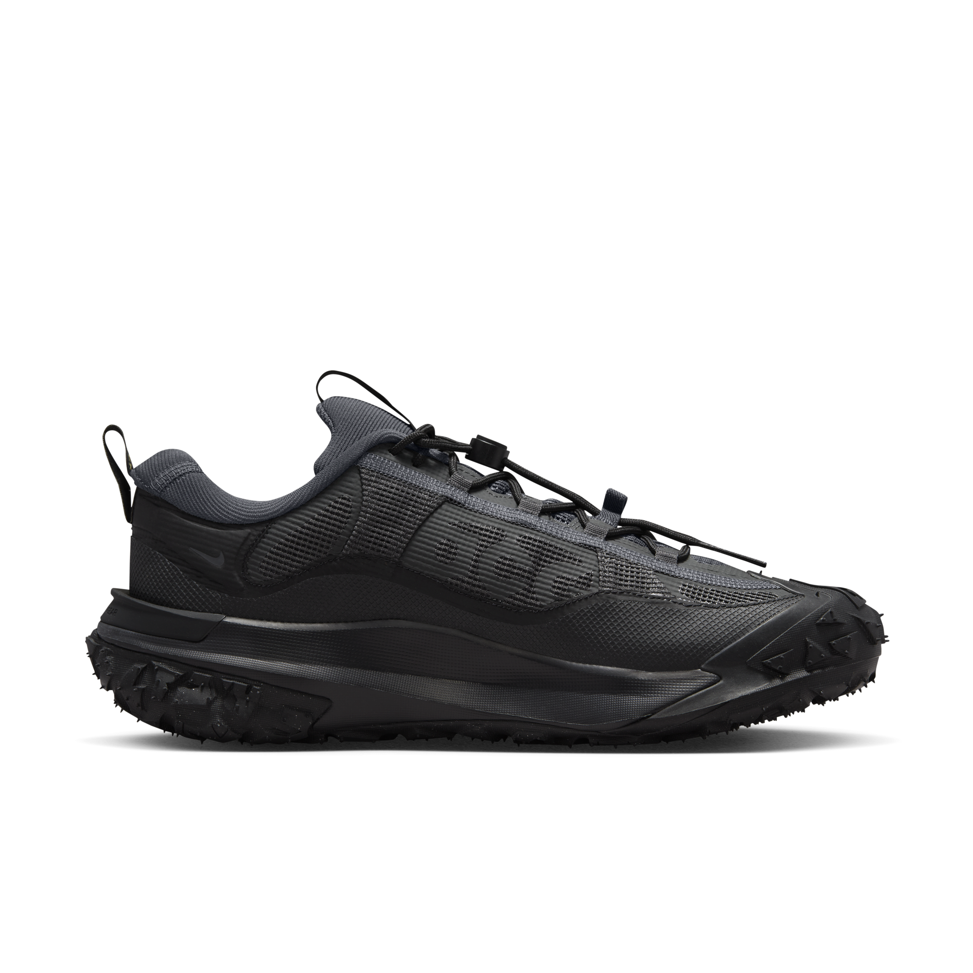 Nike ACG Mountain Fly 2 Low GORE-TEX Men's Shoes