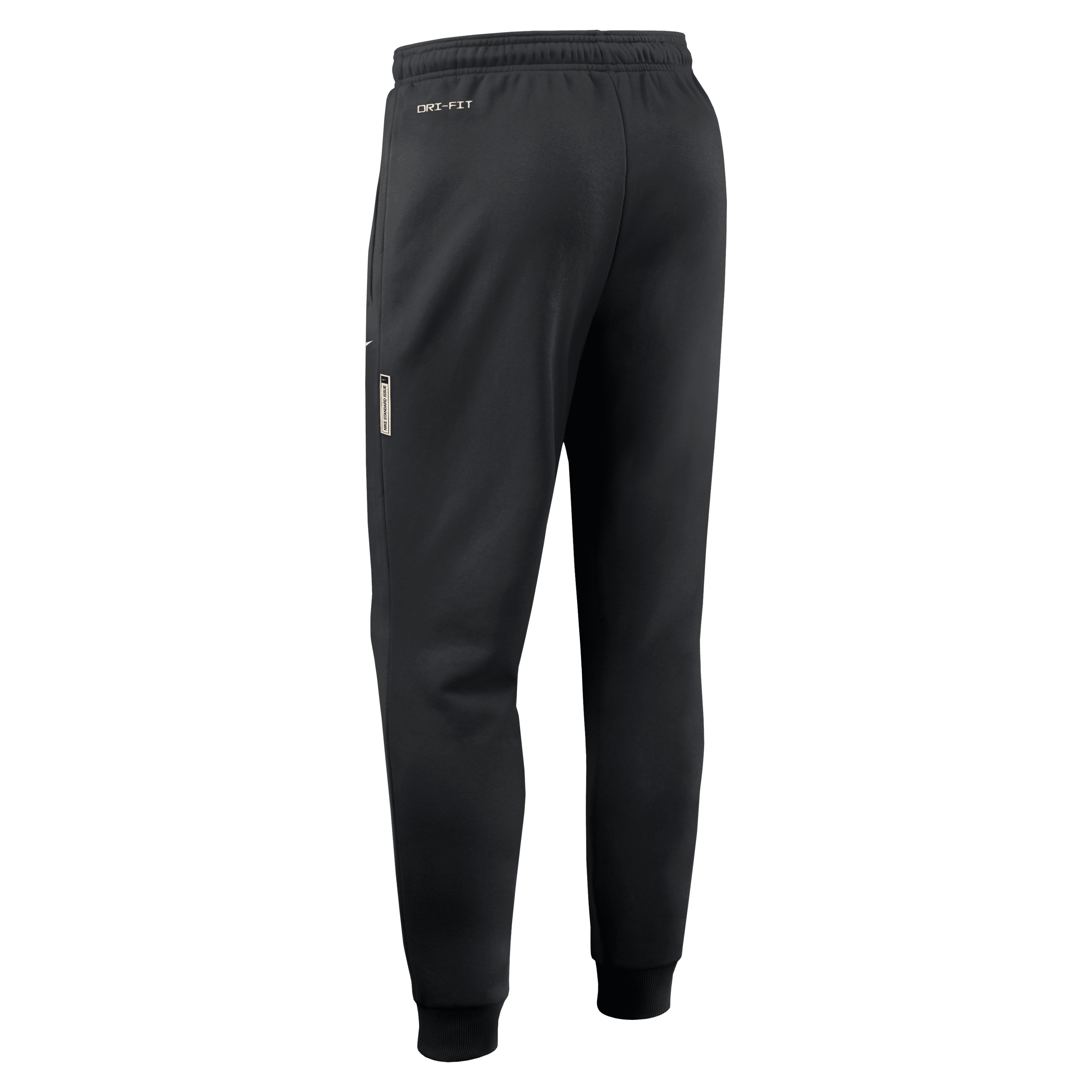 Florida State Sideline Men's Nike Dri-FIT College Taper Pants