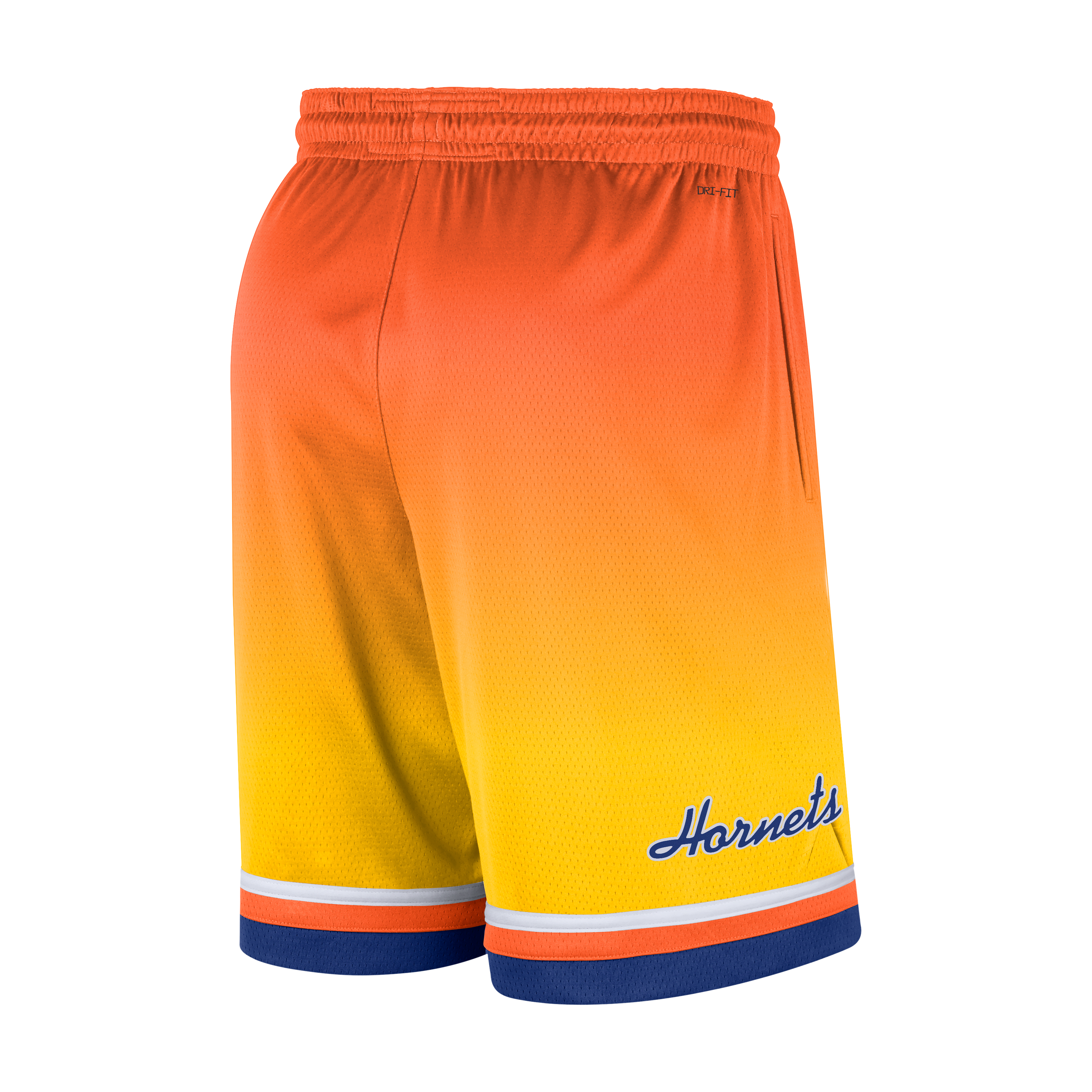 Charlotte Hornets City Edition Men's Nike Dri-FIT NBA Swingman Shorts