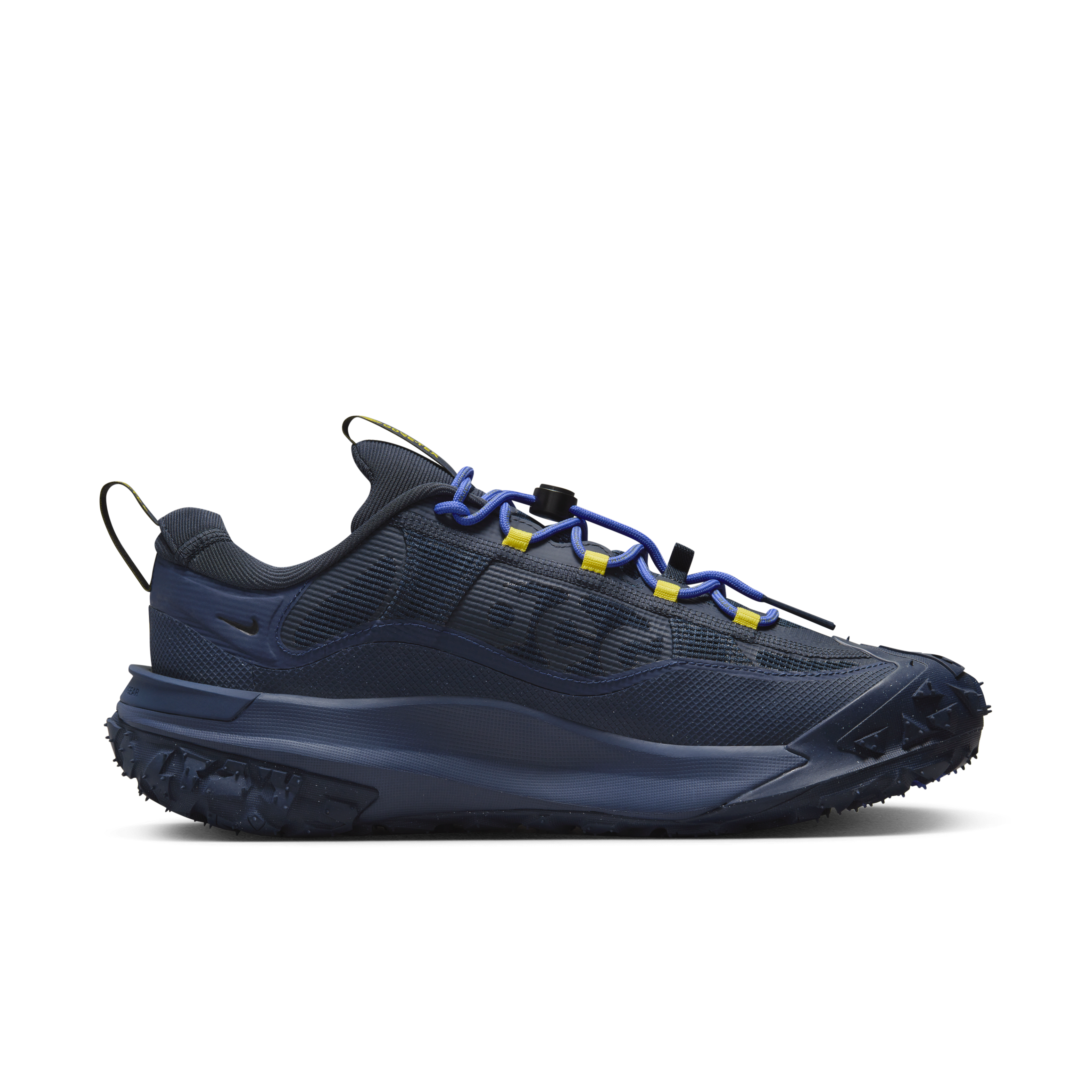 Nike ACG Mountain Fly 2 Low GORE-TEX Men's Shoes