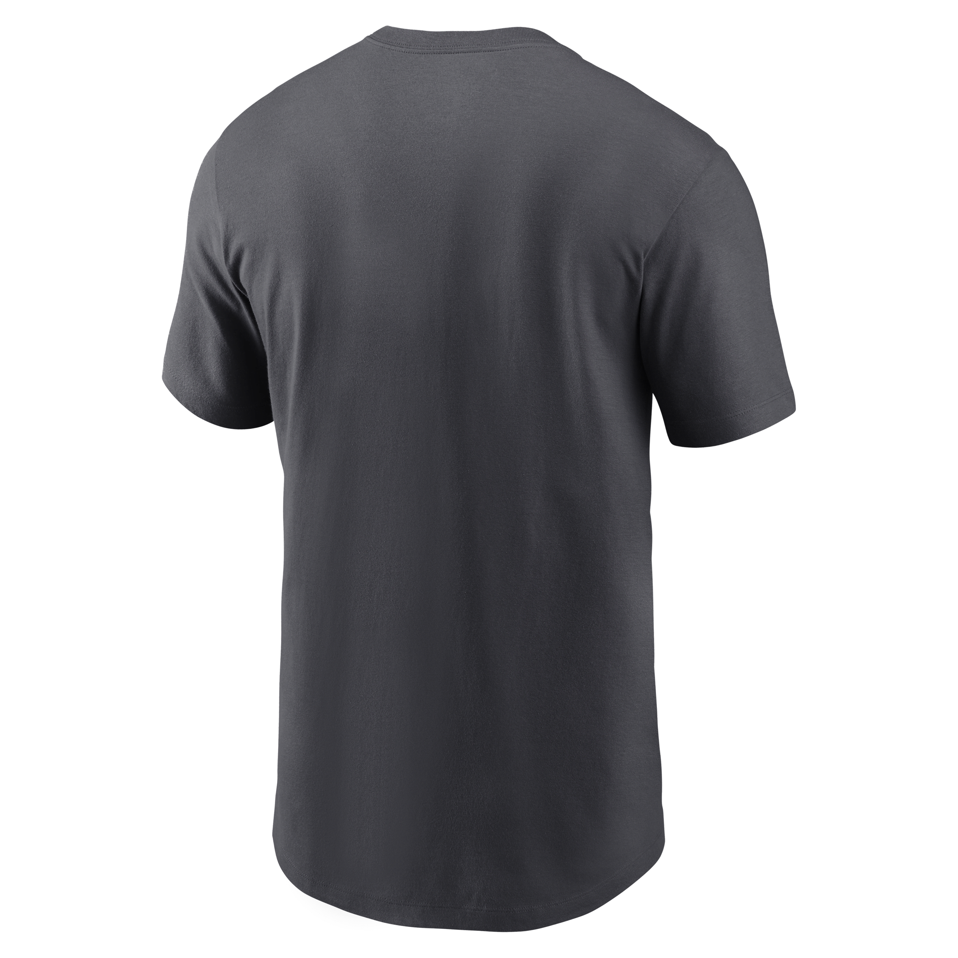 Florida Gators Primetime Logo Men's Nike College T-Shirt