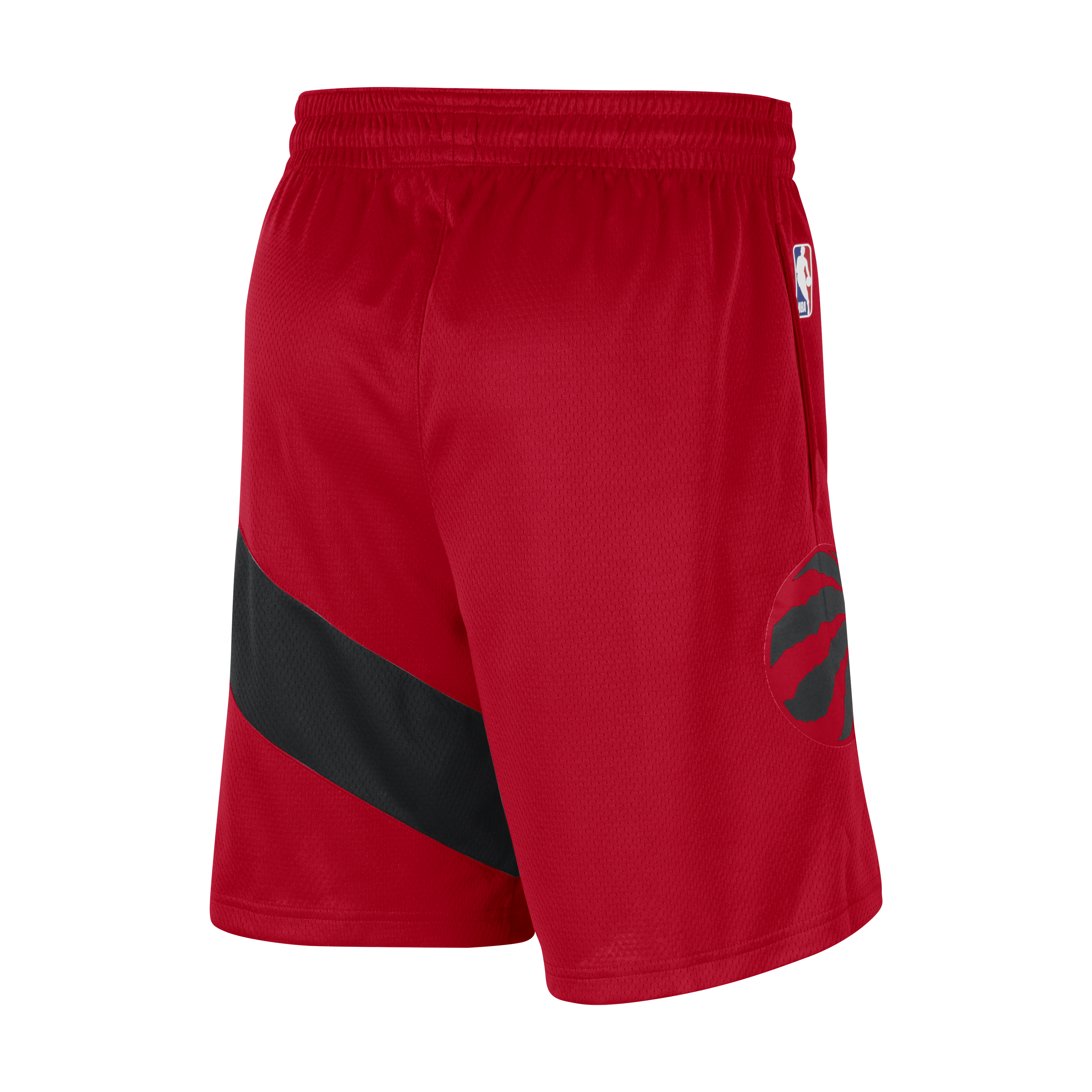 Nike Toronto Raptors Icon Edition 2020 Men's Nike NBA Swingman Shorts ...