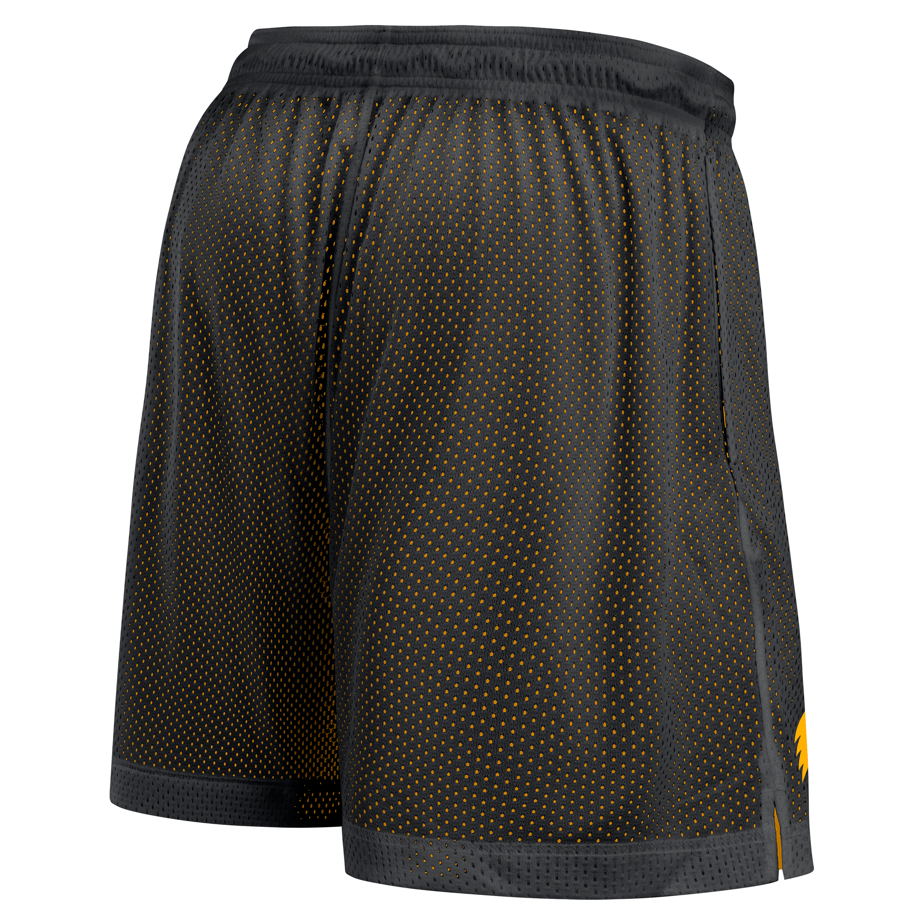 Iowa Reversible Men's Nike Dri-FIT College Shorts
