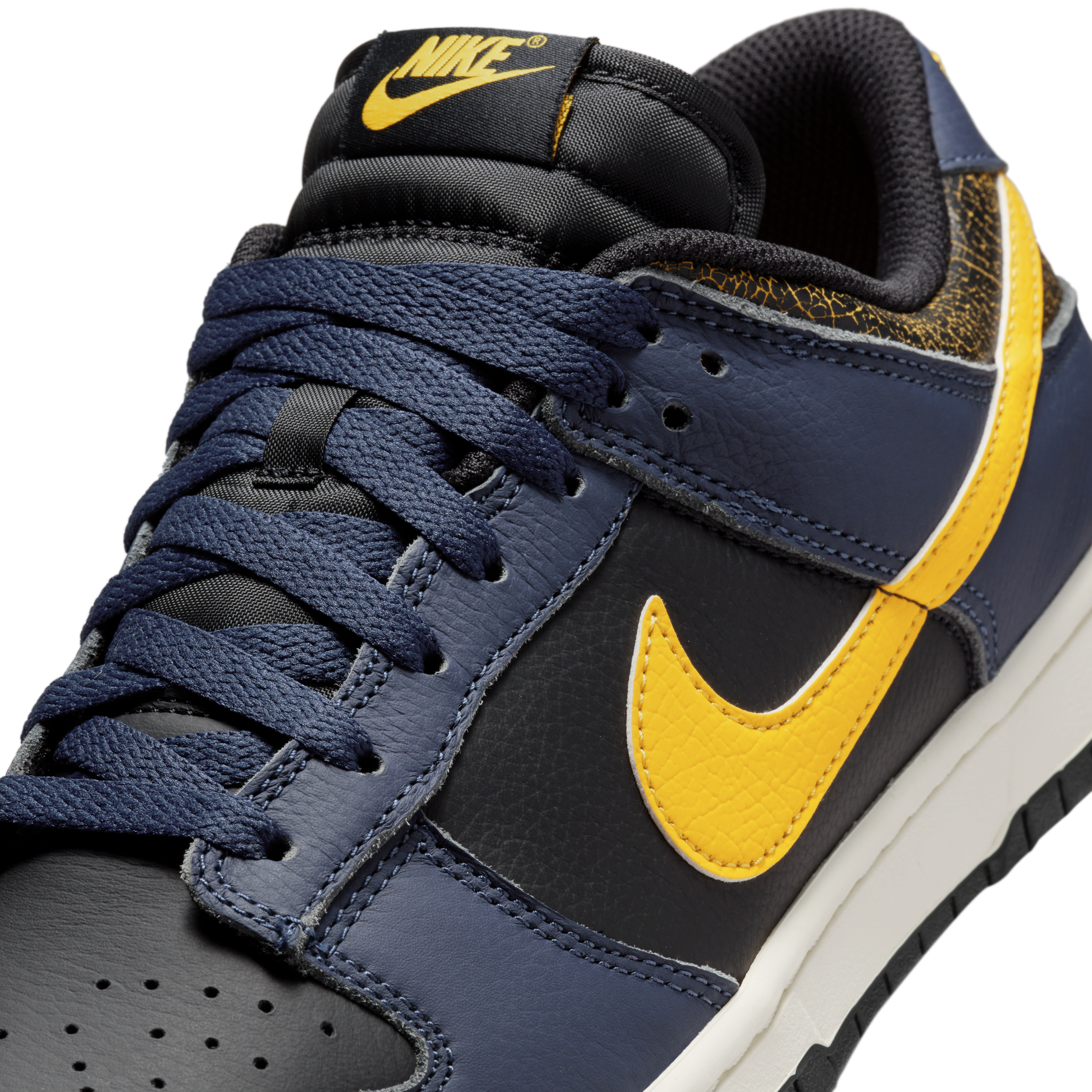 Nike Dunk Low Retro Men's Shoes