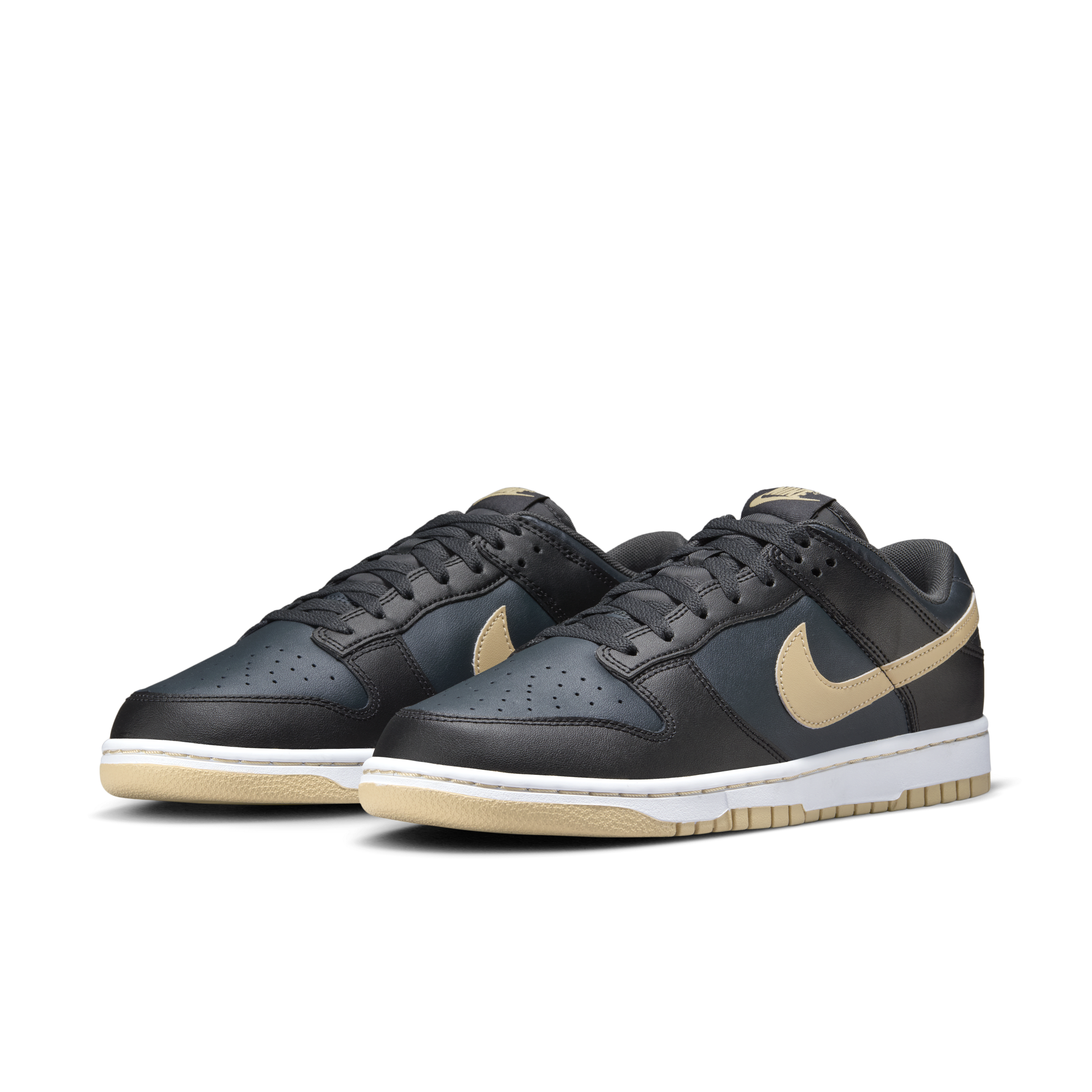 Nike Dunk Low Retro Men's Shoes