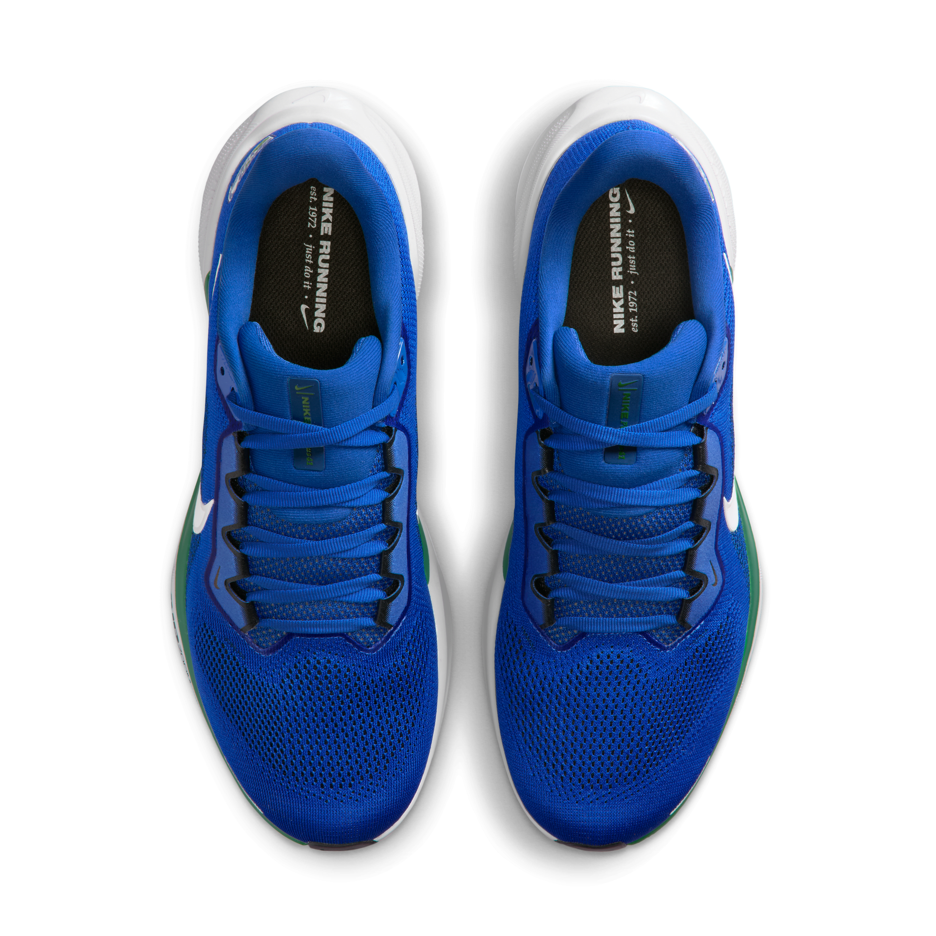Seattle Seahawks Pegasus 41 Men's Nike NFL Road Running Shoes
