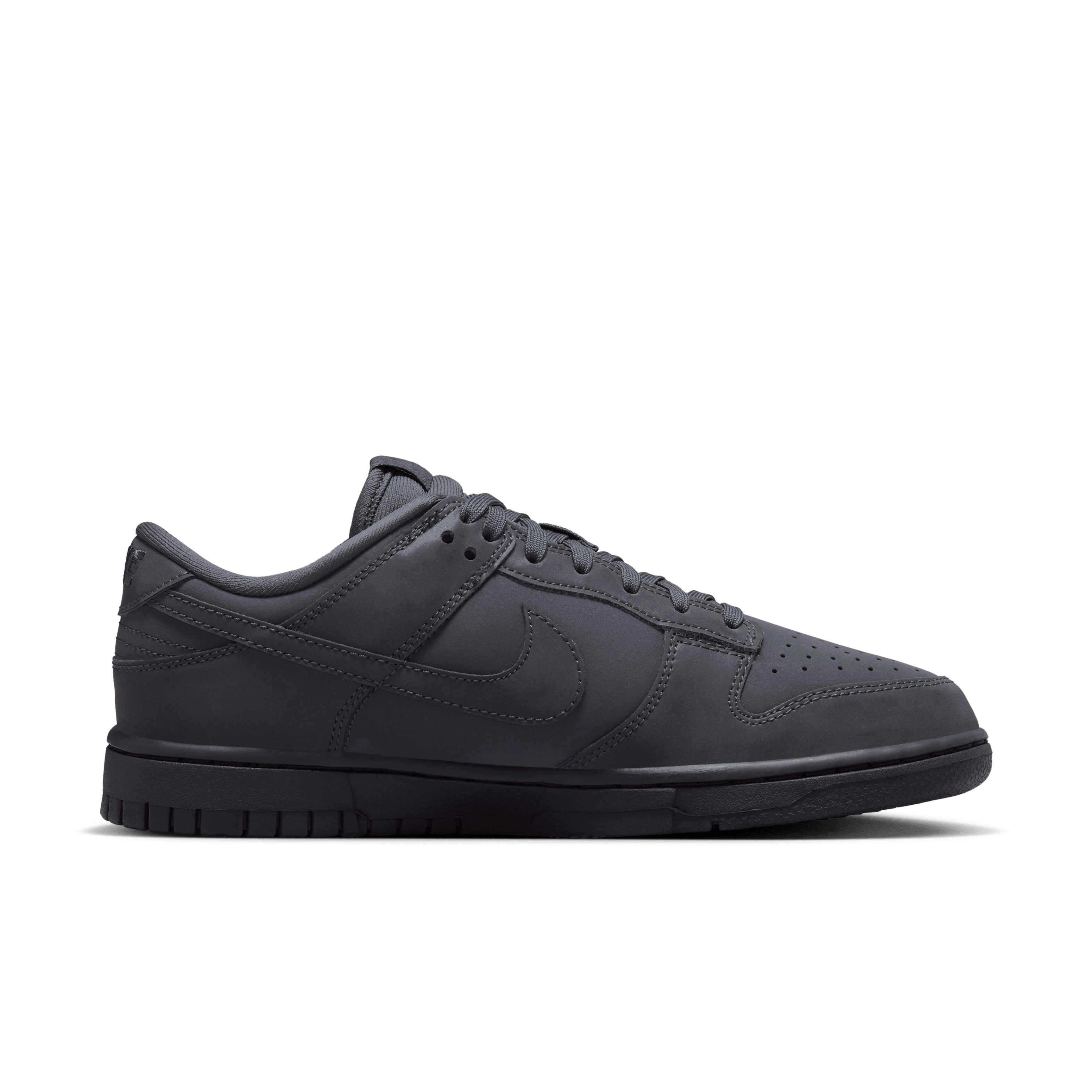 Nike Dunk Low Next Nature Women's Shoes