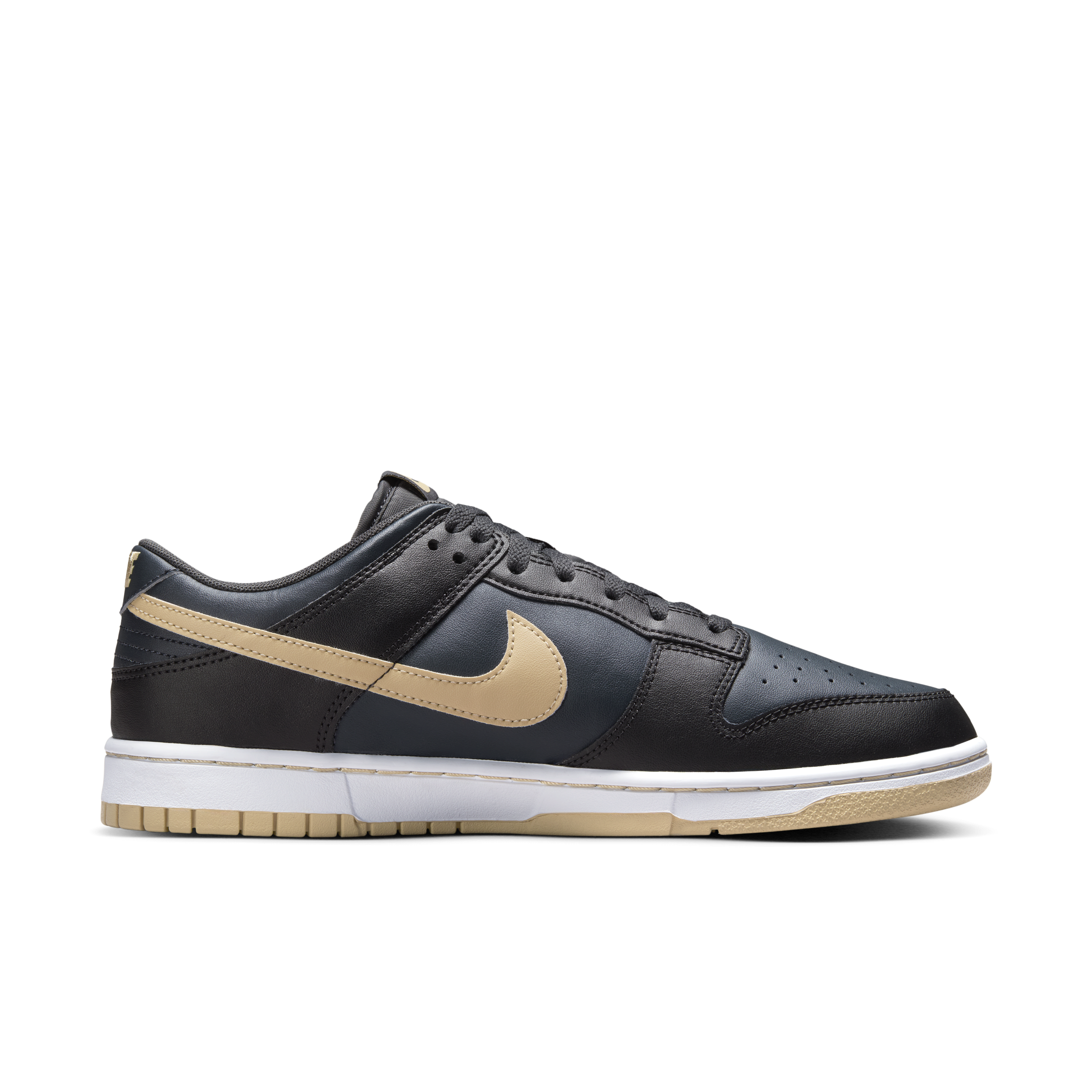 Nike Dunk Low Retro Men's Shoes