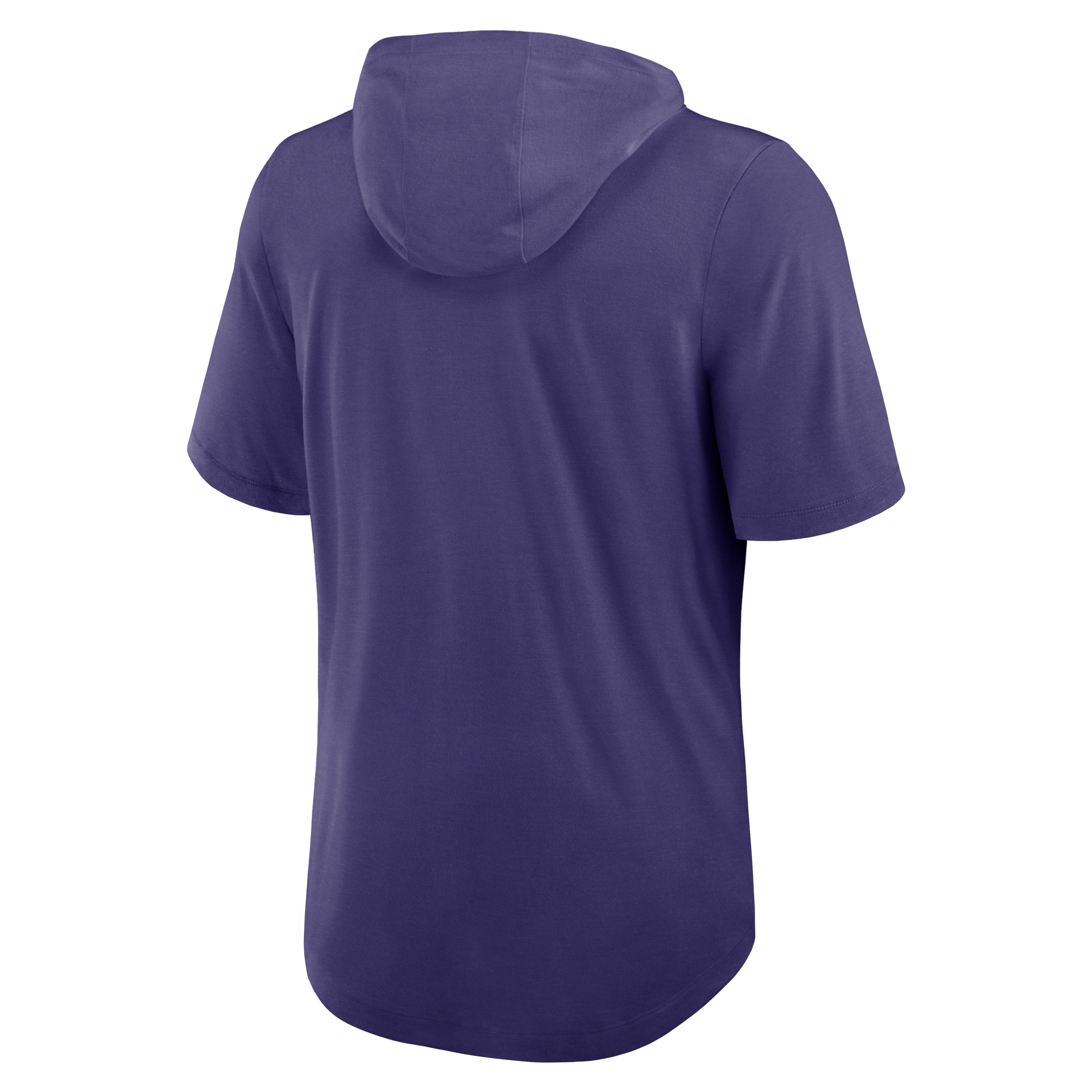 Baltimore Ravens Men's Nike Dri-FIT NFL Hooded T-Shirt