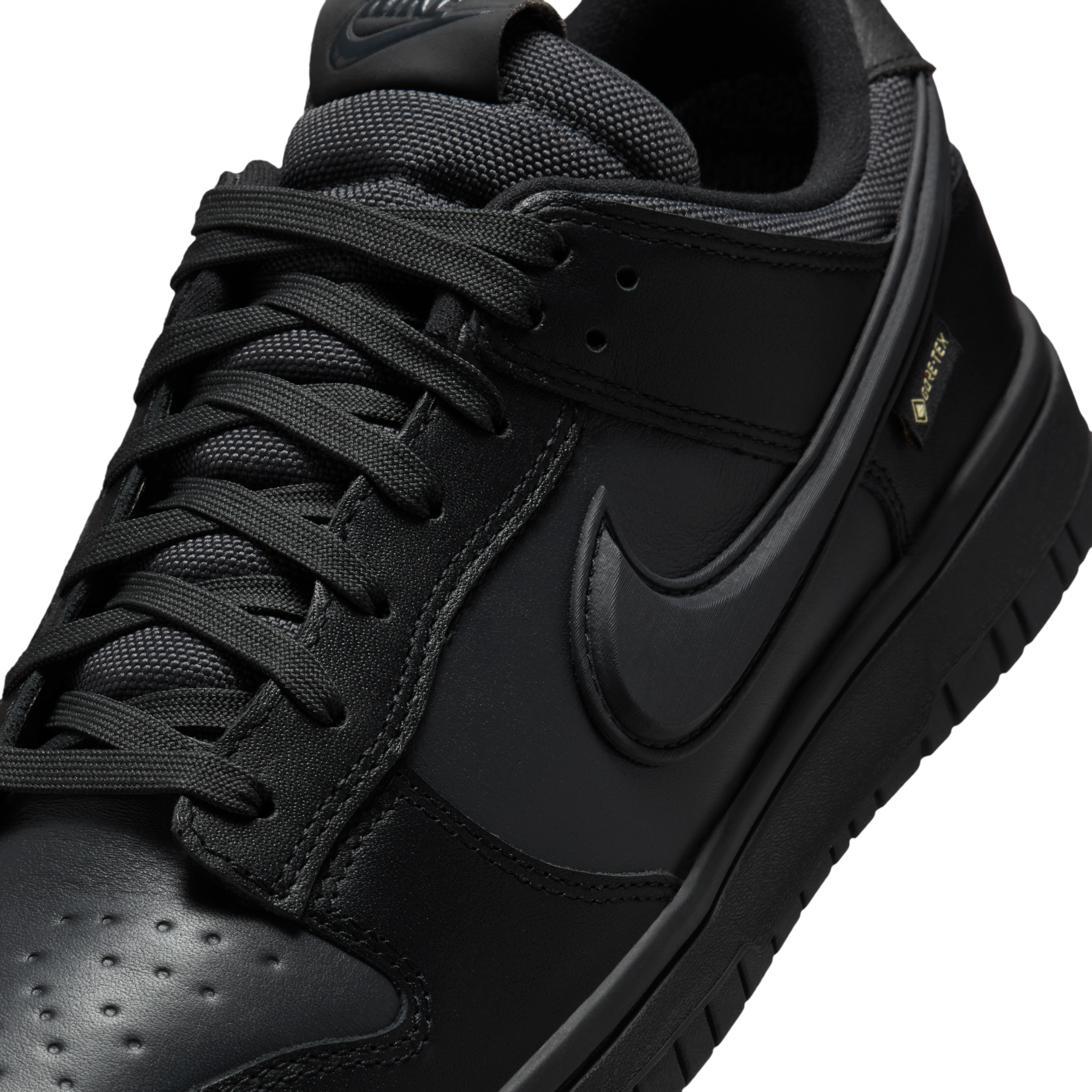 Nike Dunk Low GORE-TEX Men's Shoes