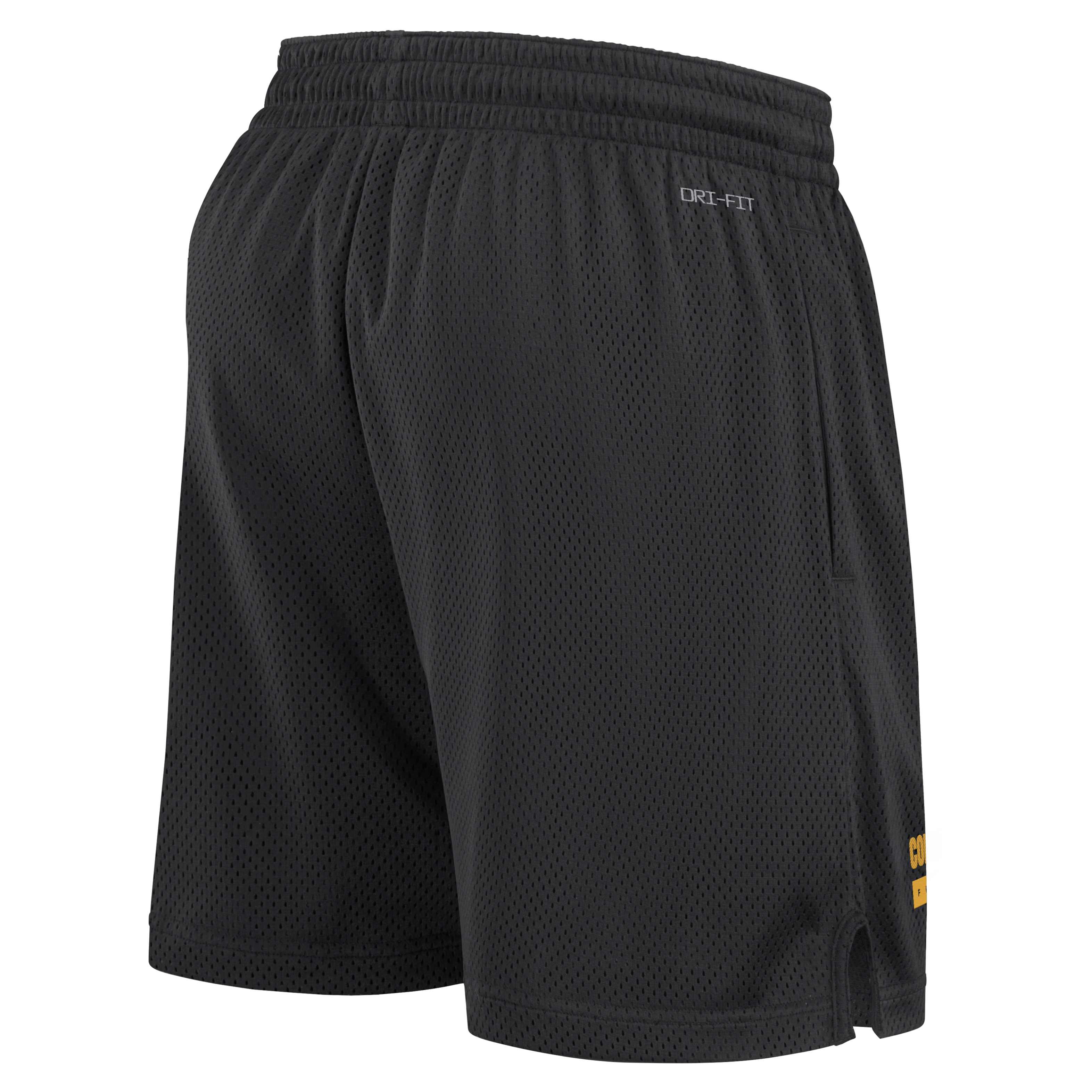 Washington Commanders Sideline Men's Nike Dri-FIT NFL Shorts