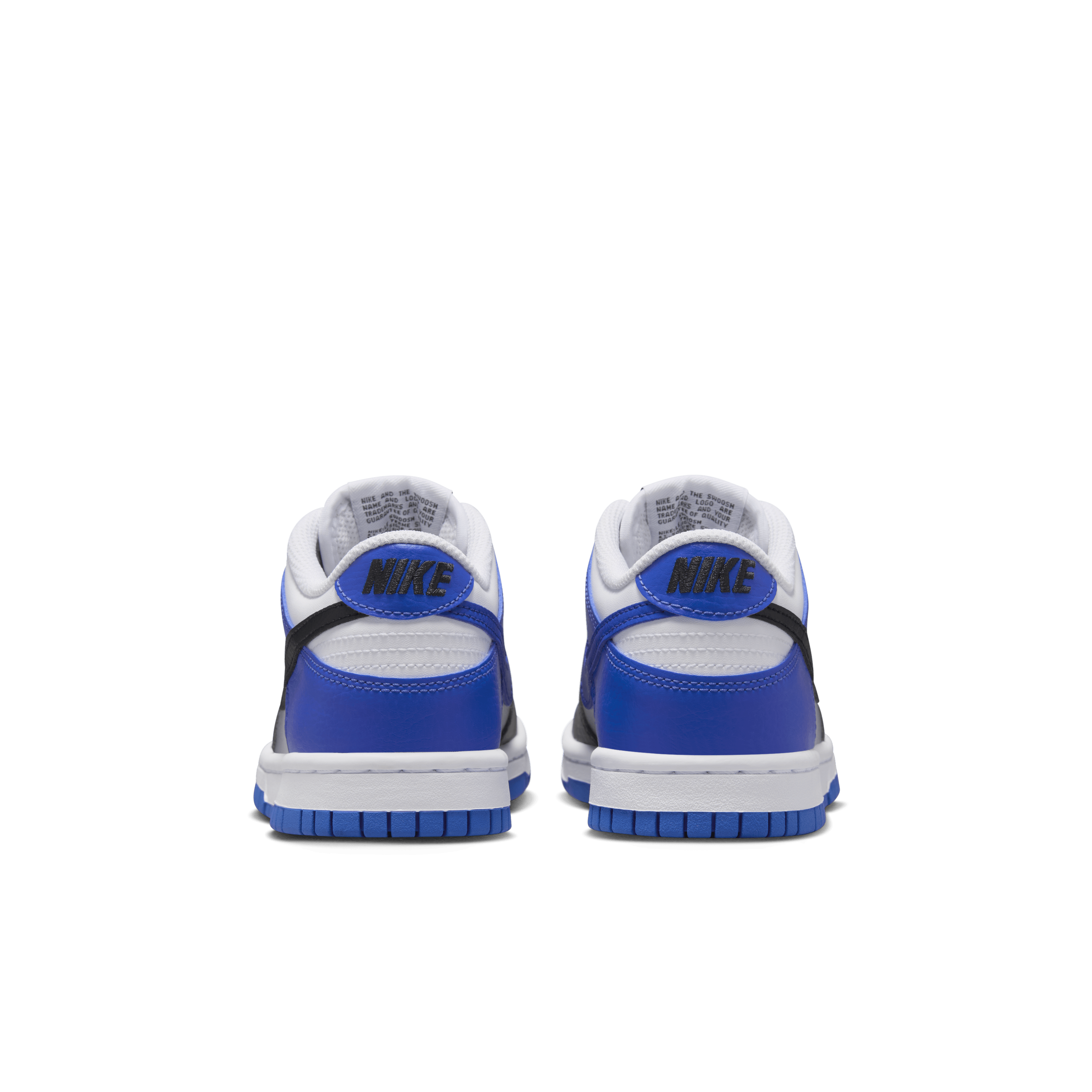 Nike Dunk Low Big Kids' Shoes