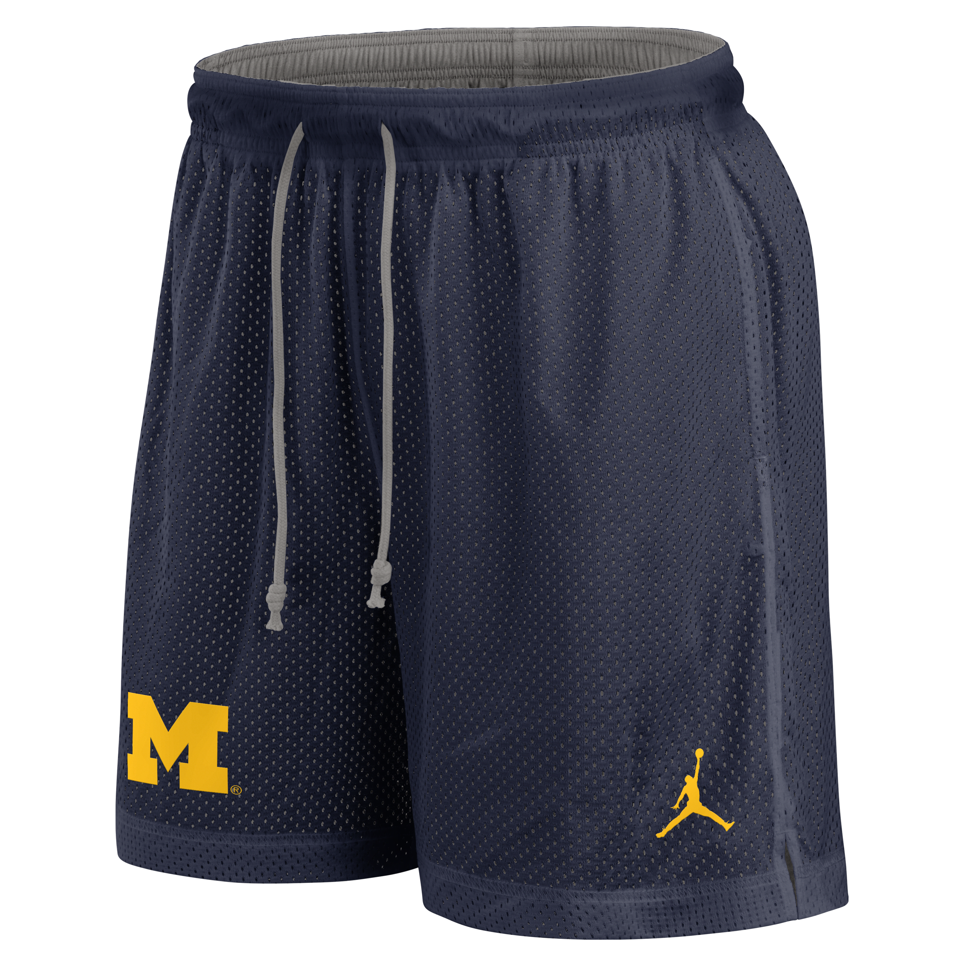 Michigan Wolverines Player Men's Jordan Brand Dri-FIT College Shorts