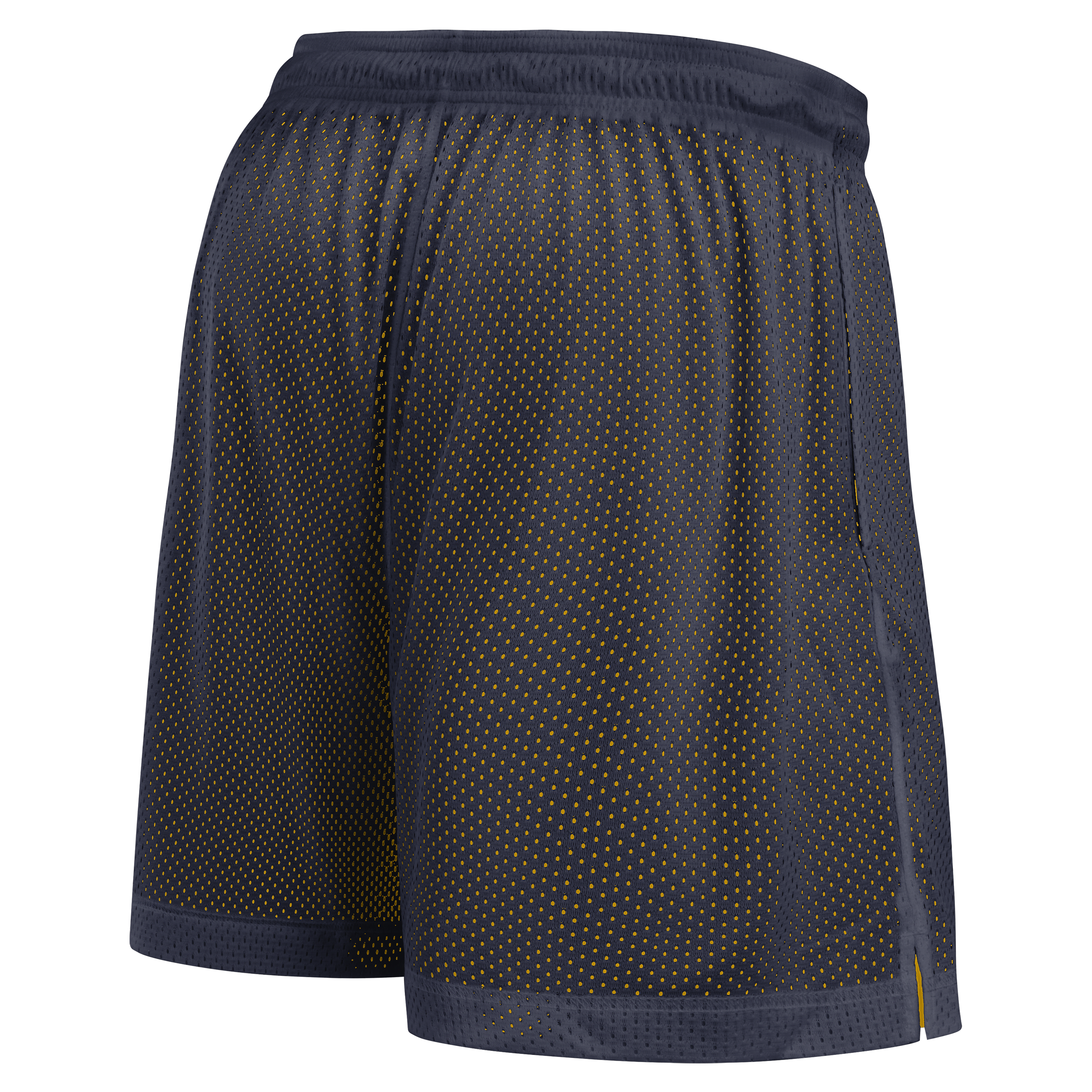 Michigan Reversible Men's Jordan Brand Dri-FIT College Shorts