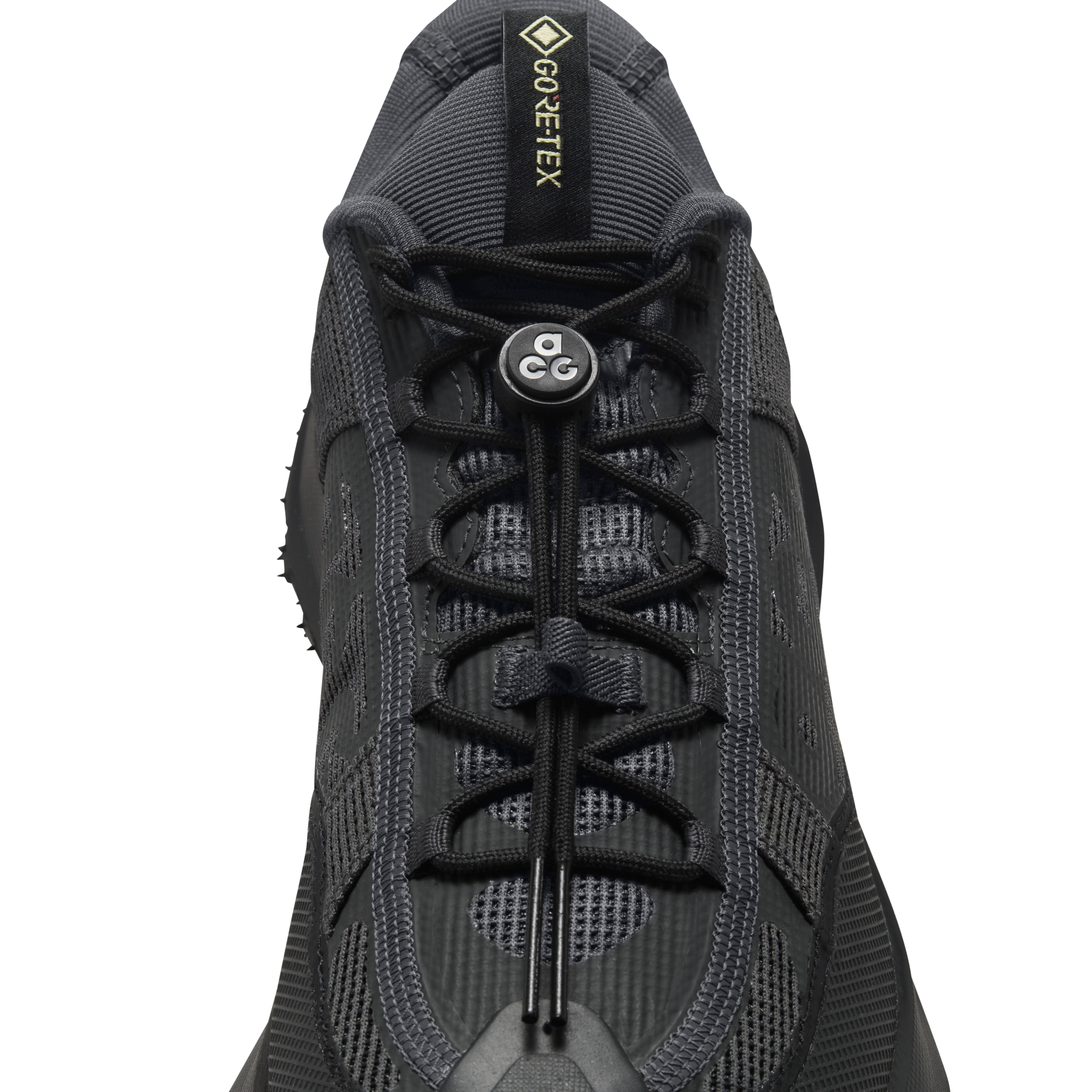 Nike ACG Mountain Fly 2 Low GORE-TEX Men's Shoes