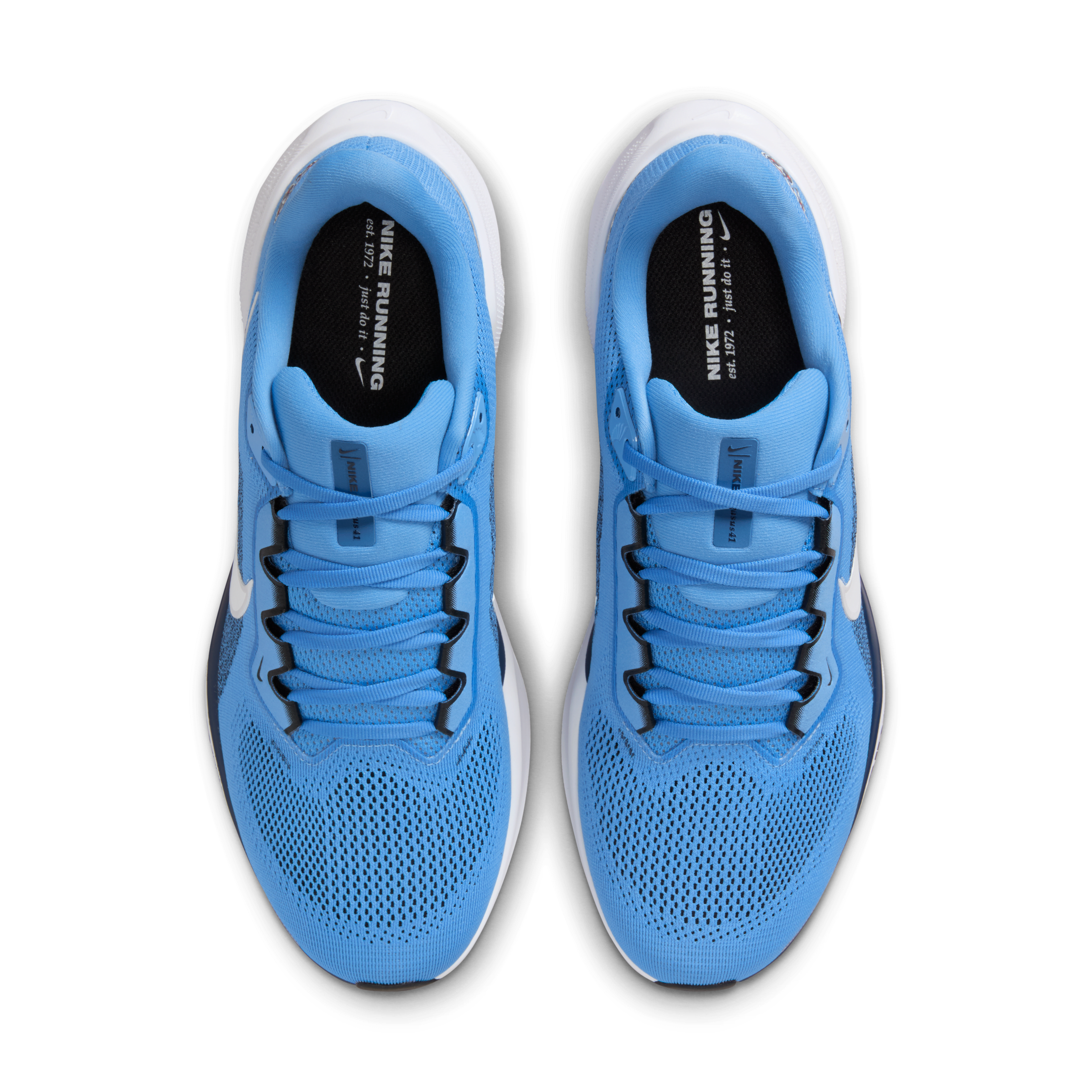 Tennessee Titans Pegasus 41 Men's Nike NFL Road Running Shoes