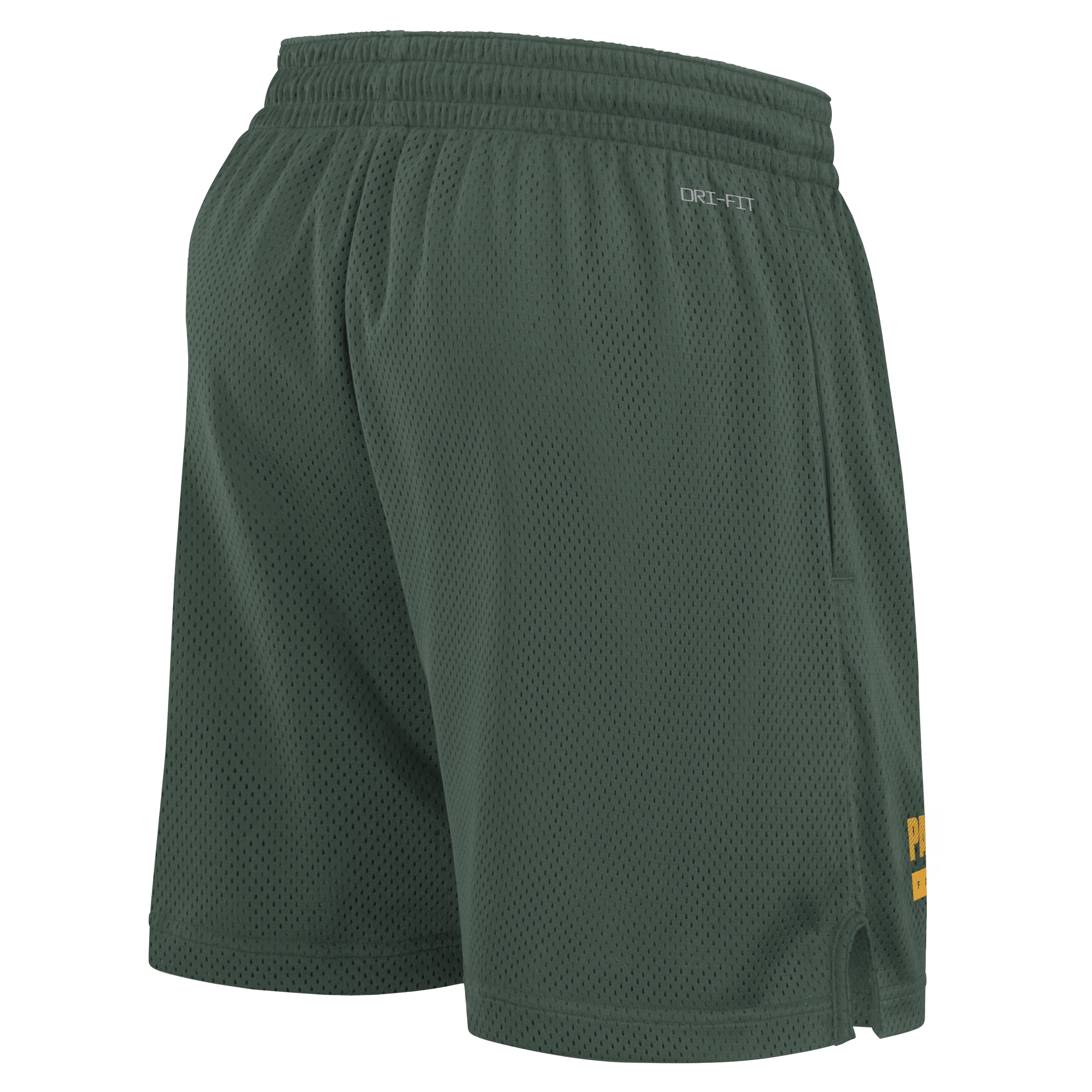 Green Bay Packers Sideline Men's Nike Dri-FIT NFL Shorts