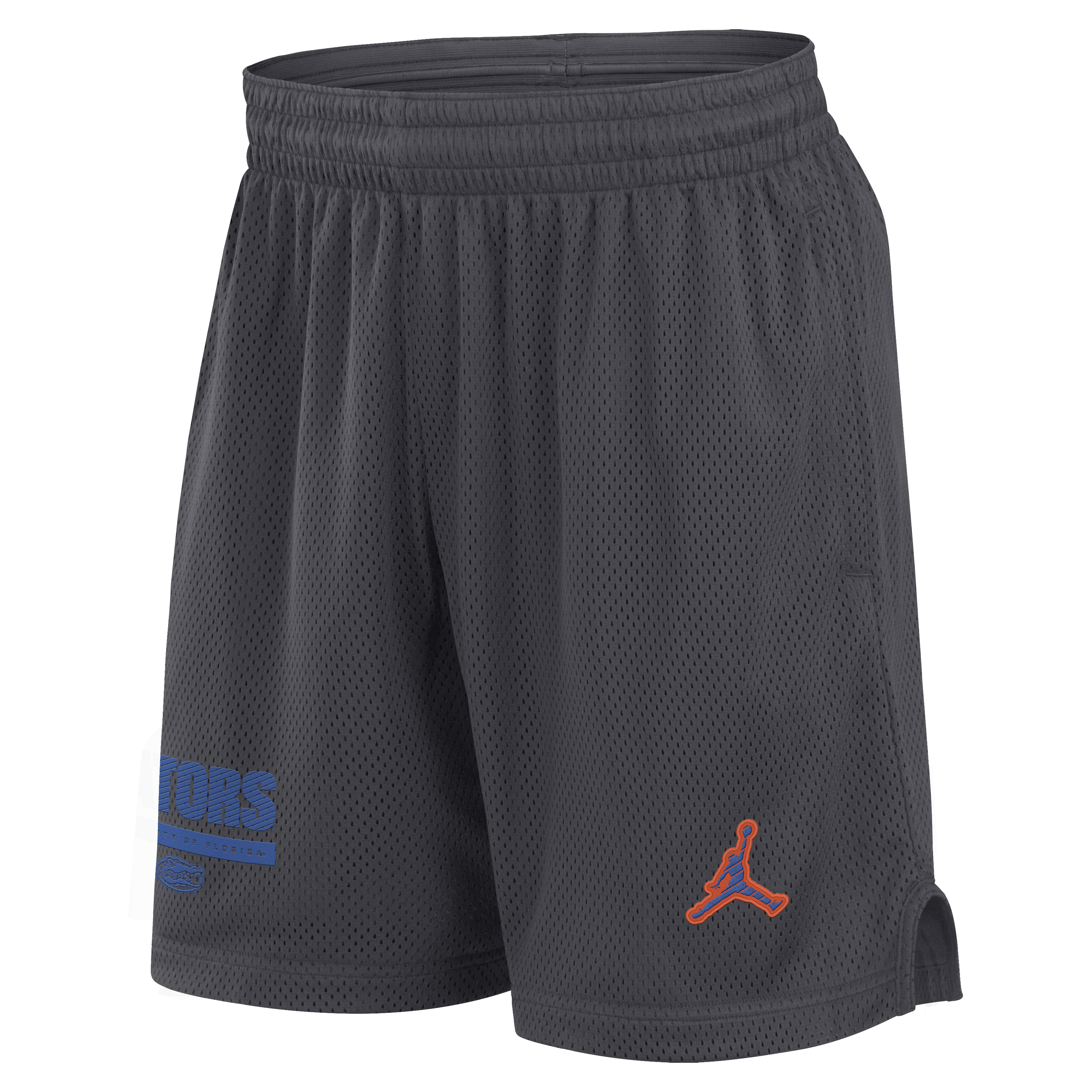 Florida Sideline Men's Nike Dri-FIT College Shorts