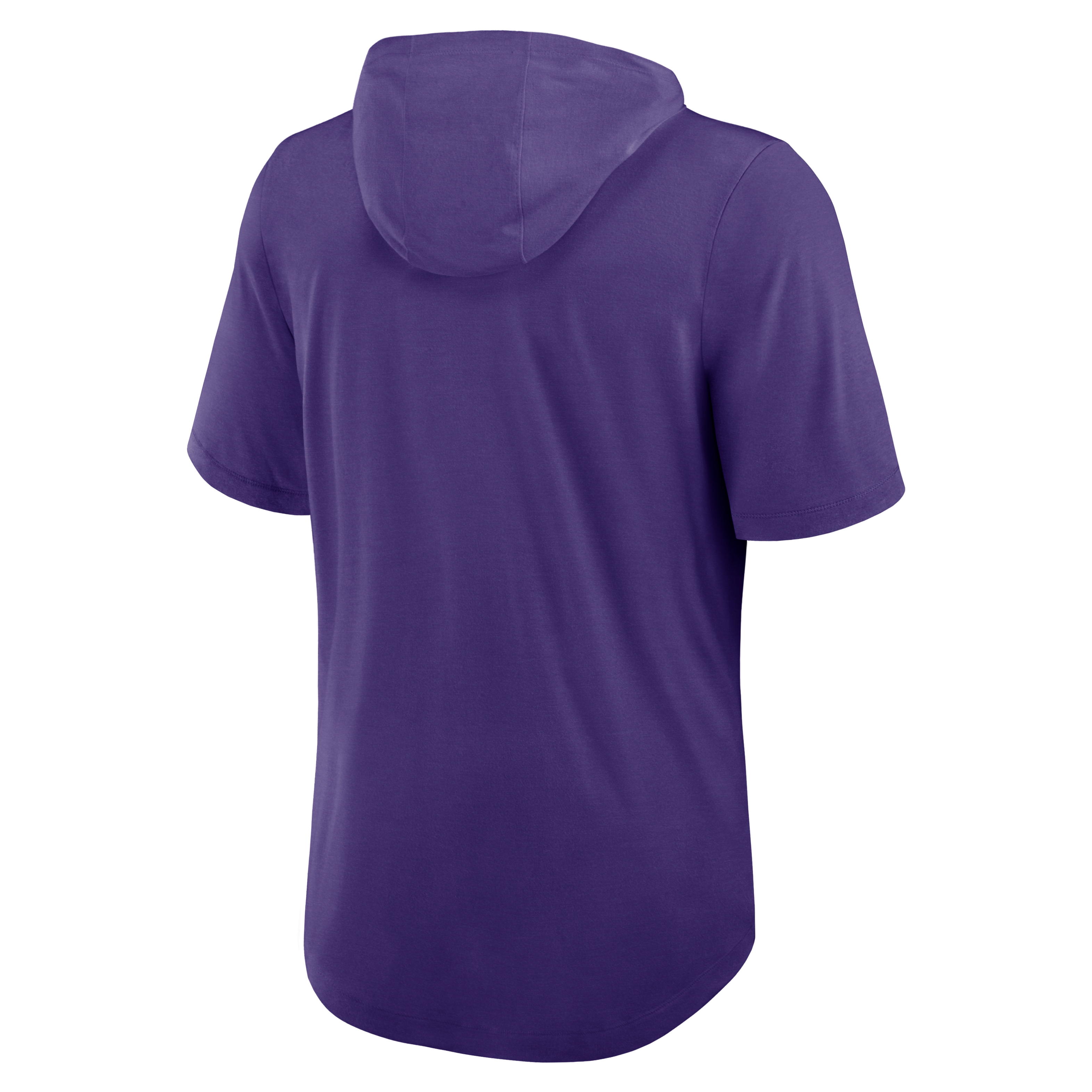 Minnesota Vikings Men's Nike Dri-FIT NFL Hooded T-Shirt