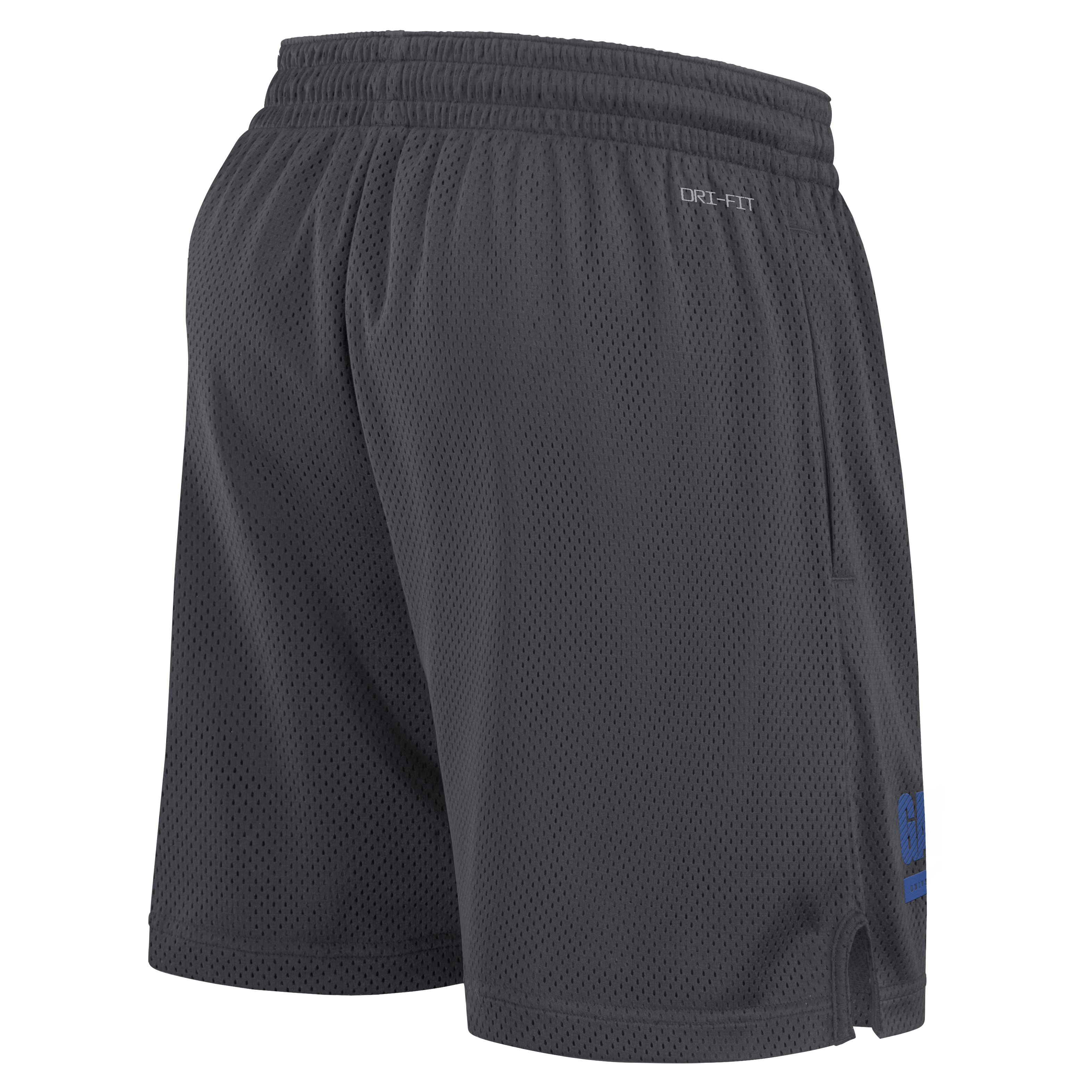 Florida Sideline Men's Nike Dri-FIT College Shorts