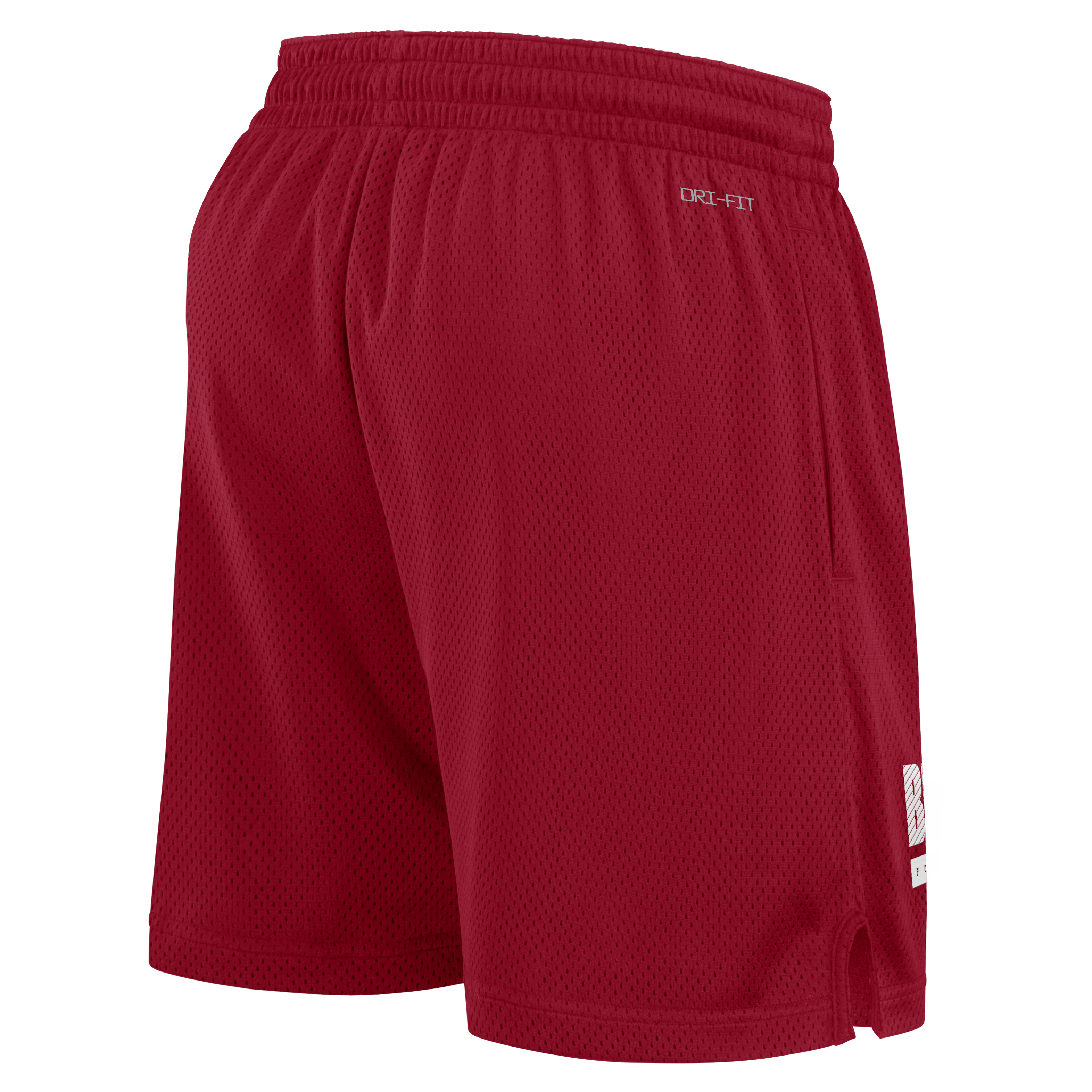 Tampa Bay Buccaneers Sideline Men's Nike Dri-FIT NFL Shorts