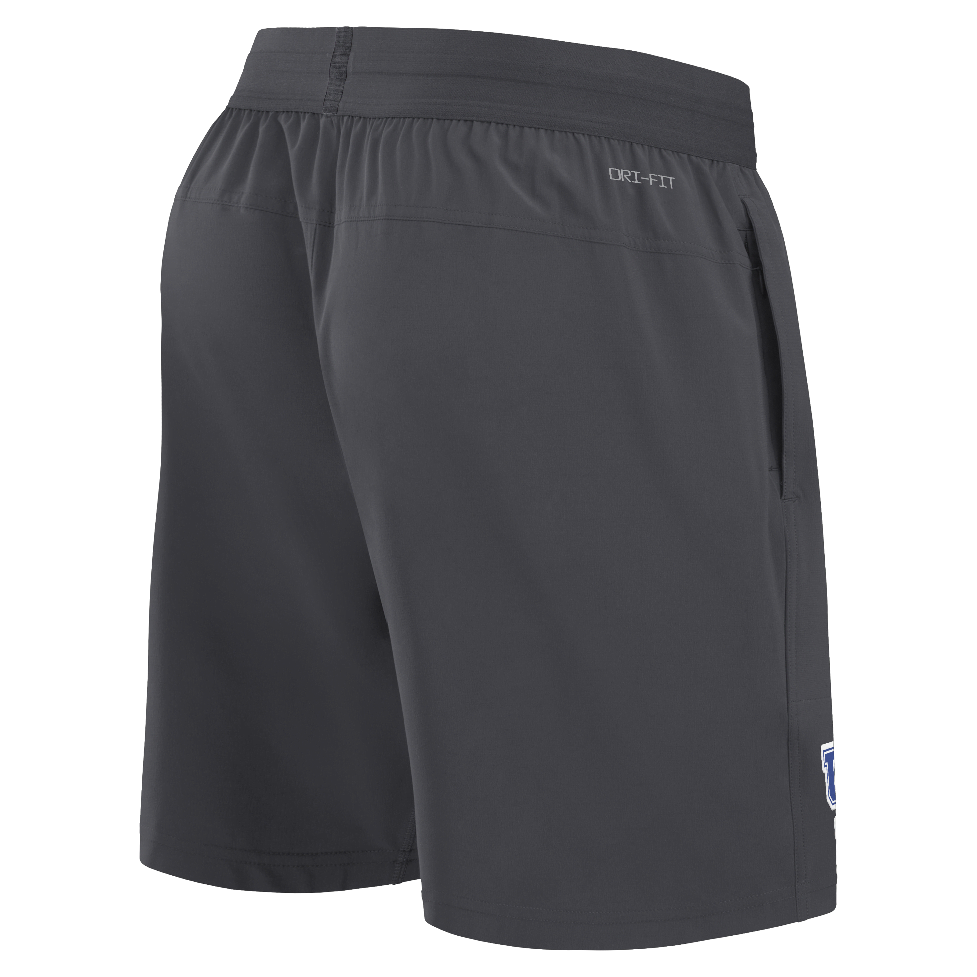 Oregon Ducks Sideline Men's Nike Dri-FIT College Shorts