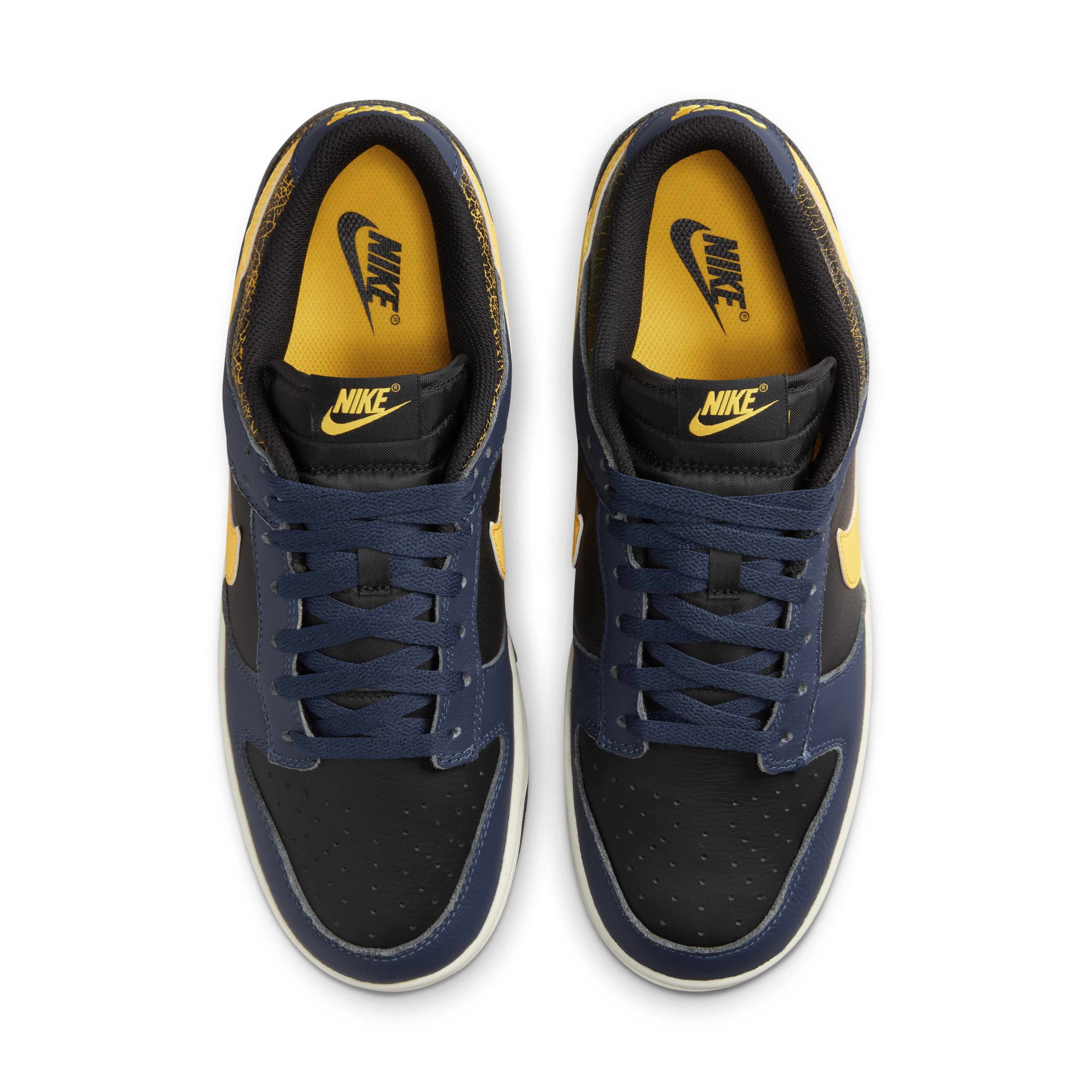 Nike Dunk Low Retro Men's Shoes