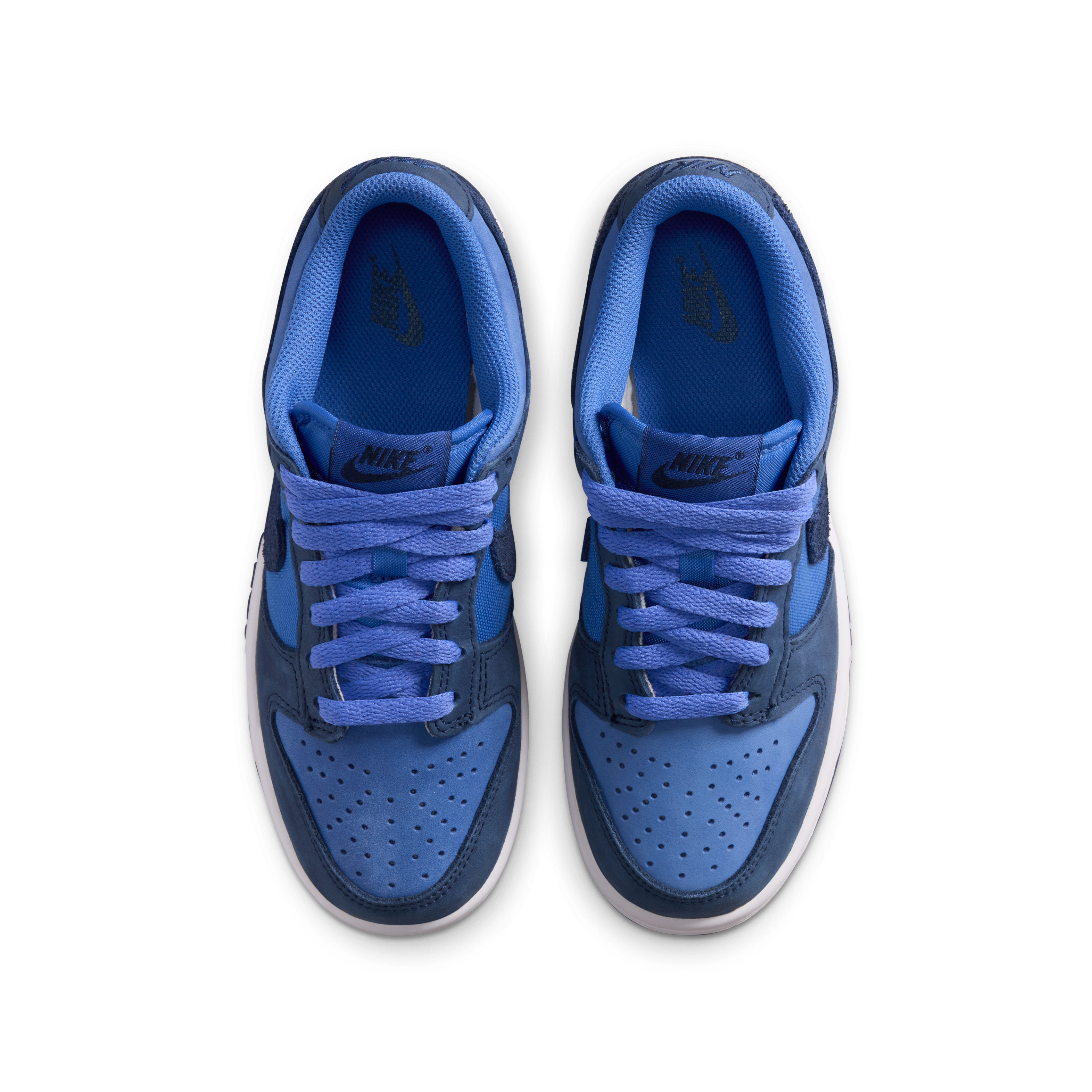 Nike Dunk Low SE Big Kids' Shoes