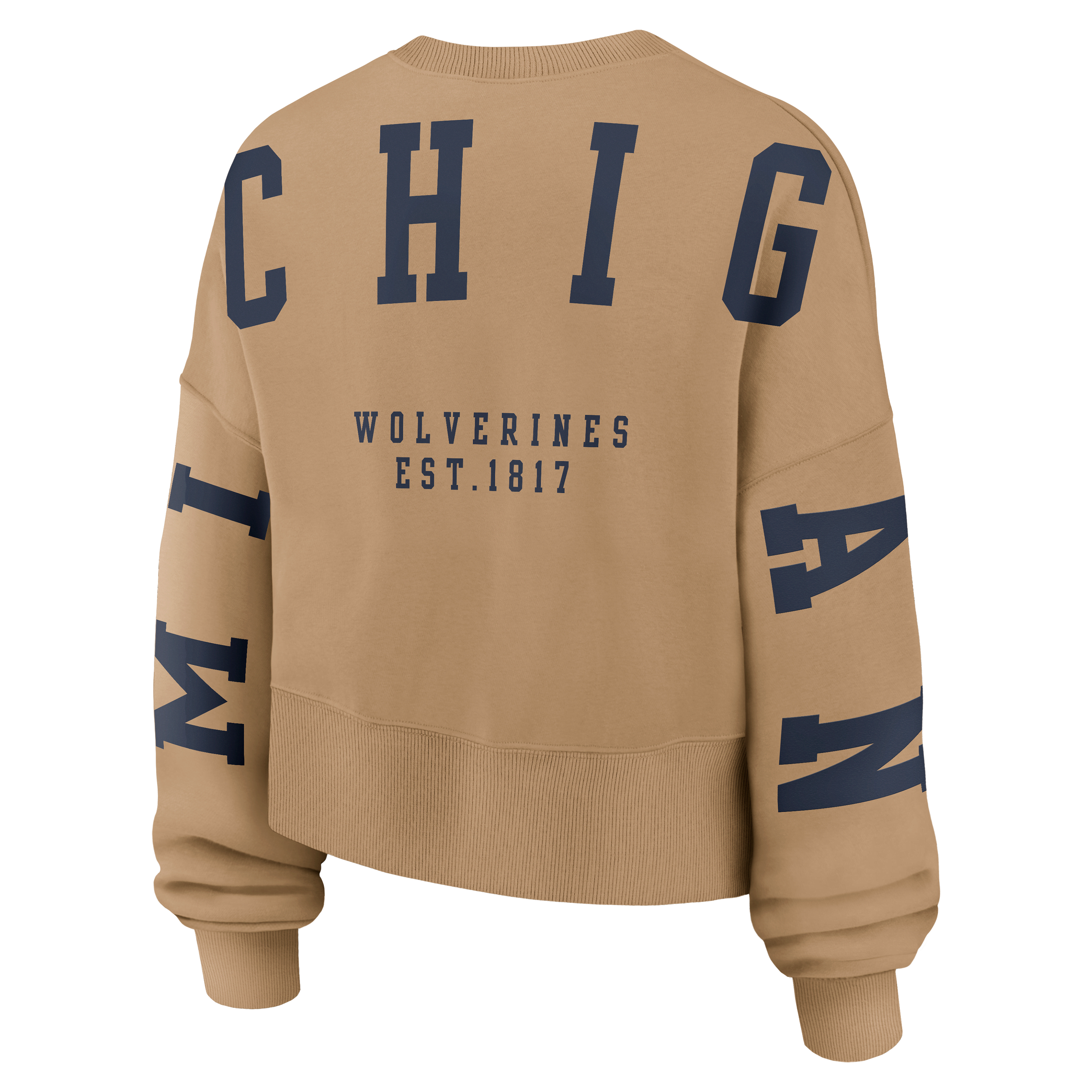 Michigan Phoenix 2-Hit Women's Jordan Brand College Pullover Crew