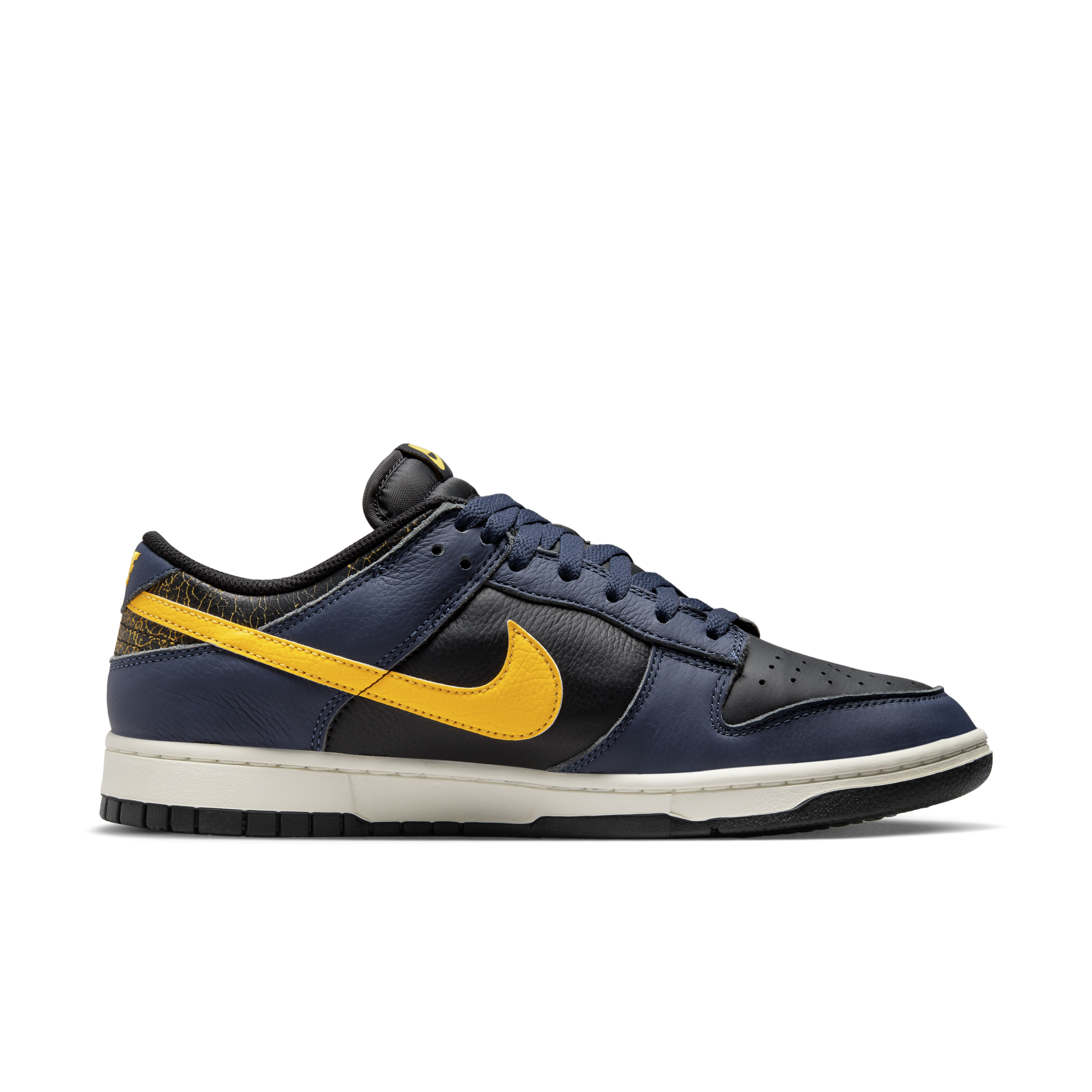 Nike Dunk Low Retro Men's Shoes