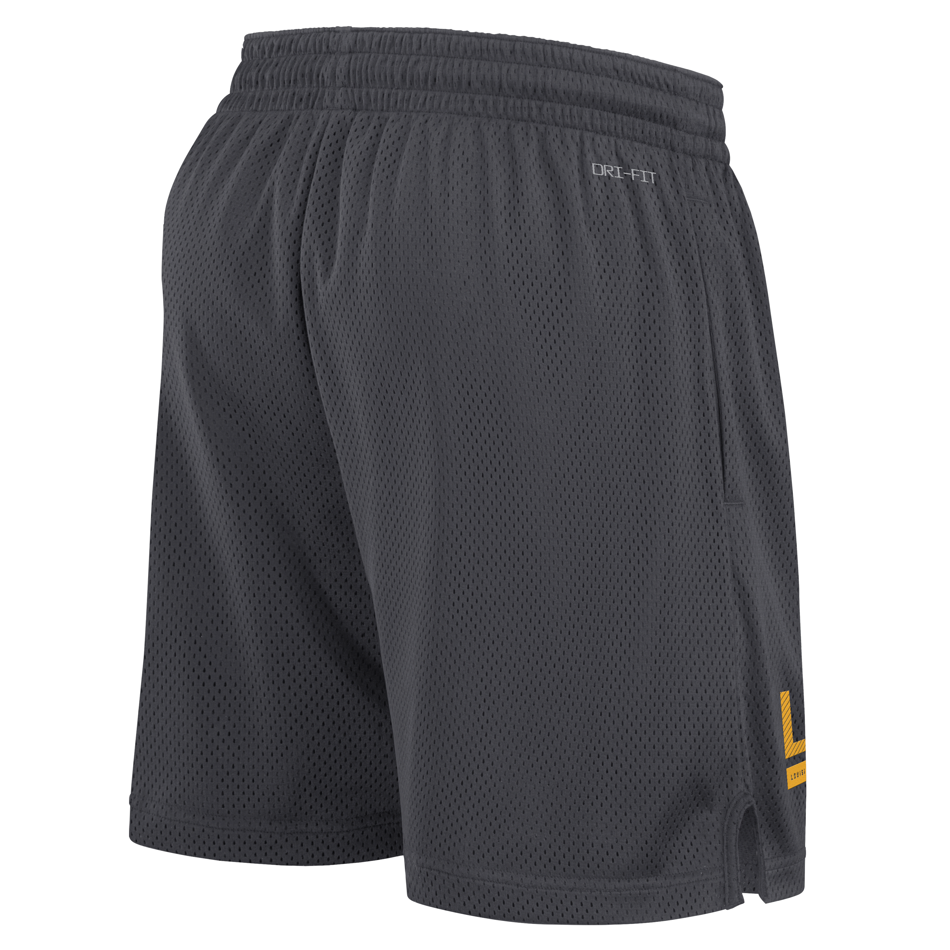 LSU Sideline Men's Nike Dri-FIT College Shorts