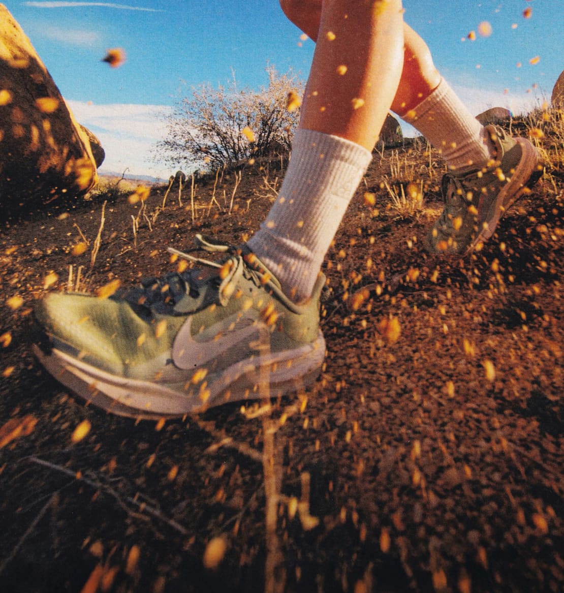 All-Terrain Horsepower, ACG Pegasus Trail