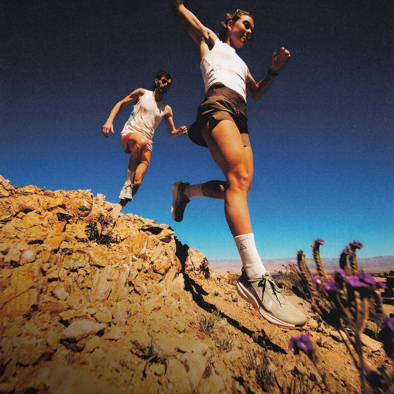 All-Terrain Horsepower, ACG Pegasus Trail