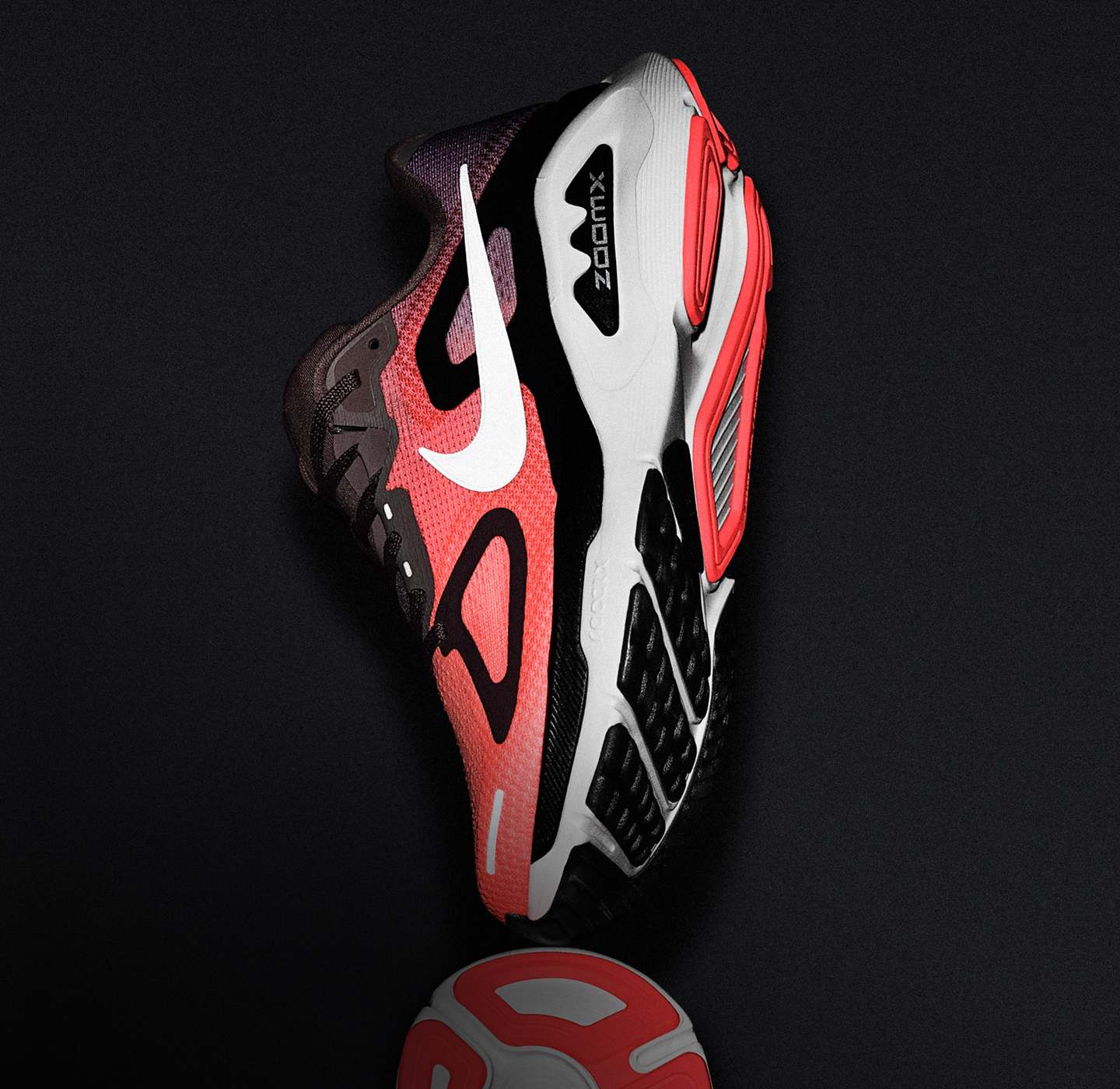 Women's Shoes, Clothing & Accessories